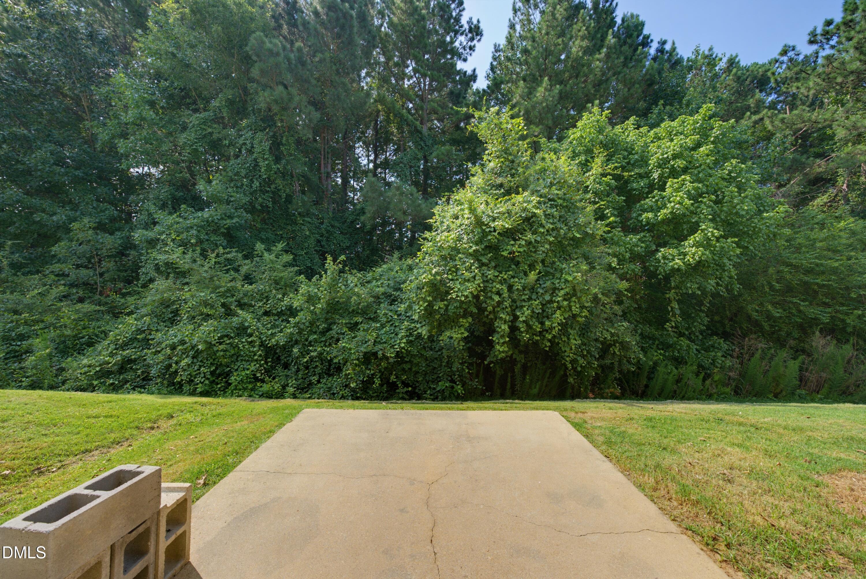 413 Woodson Drive Property Photo 28