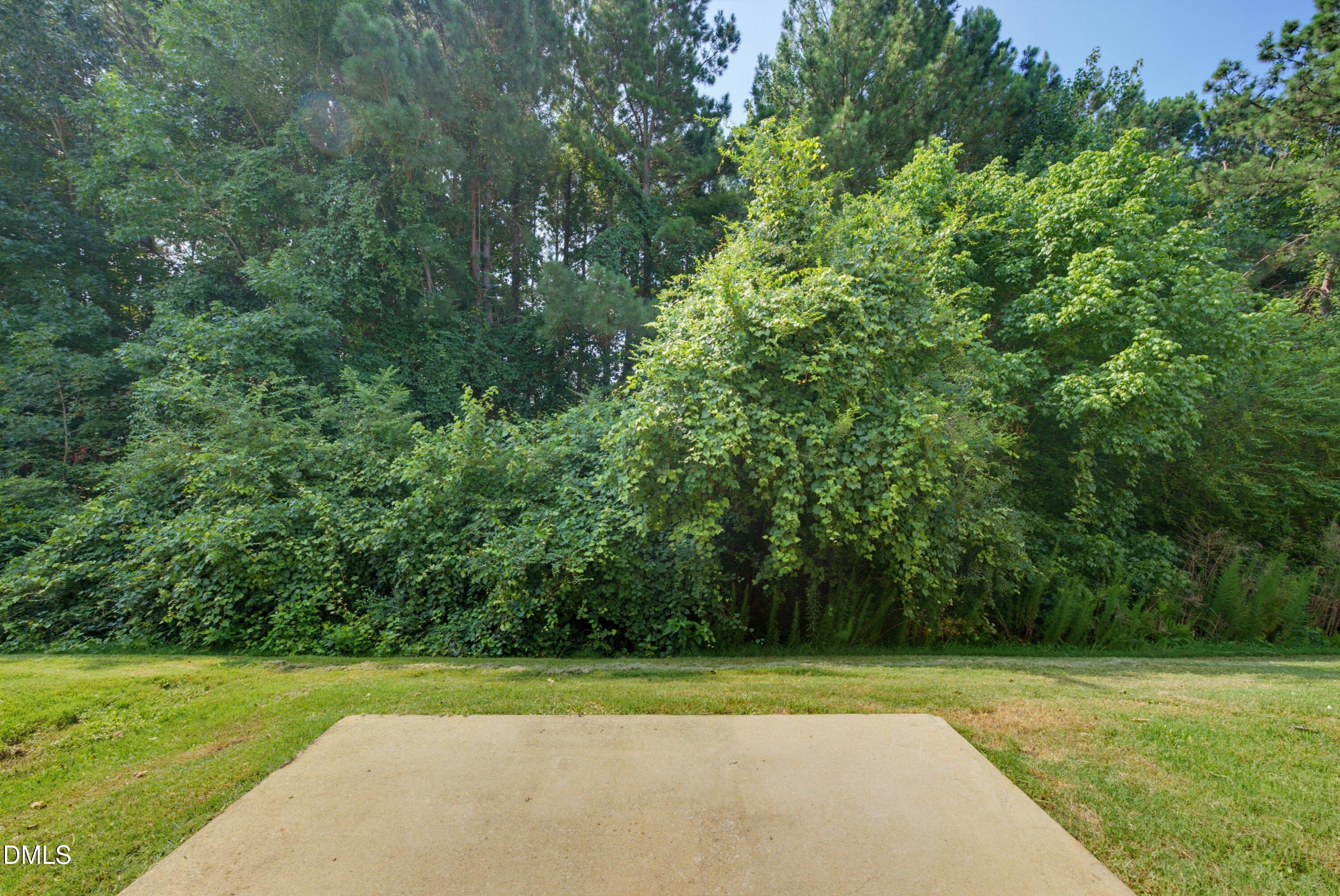 413 Woodson Drive Property Photo 29