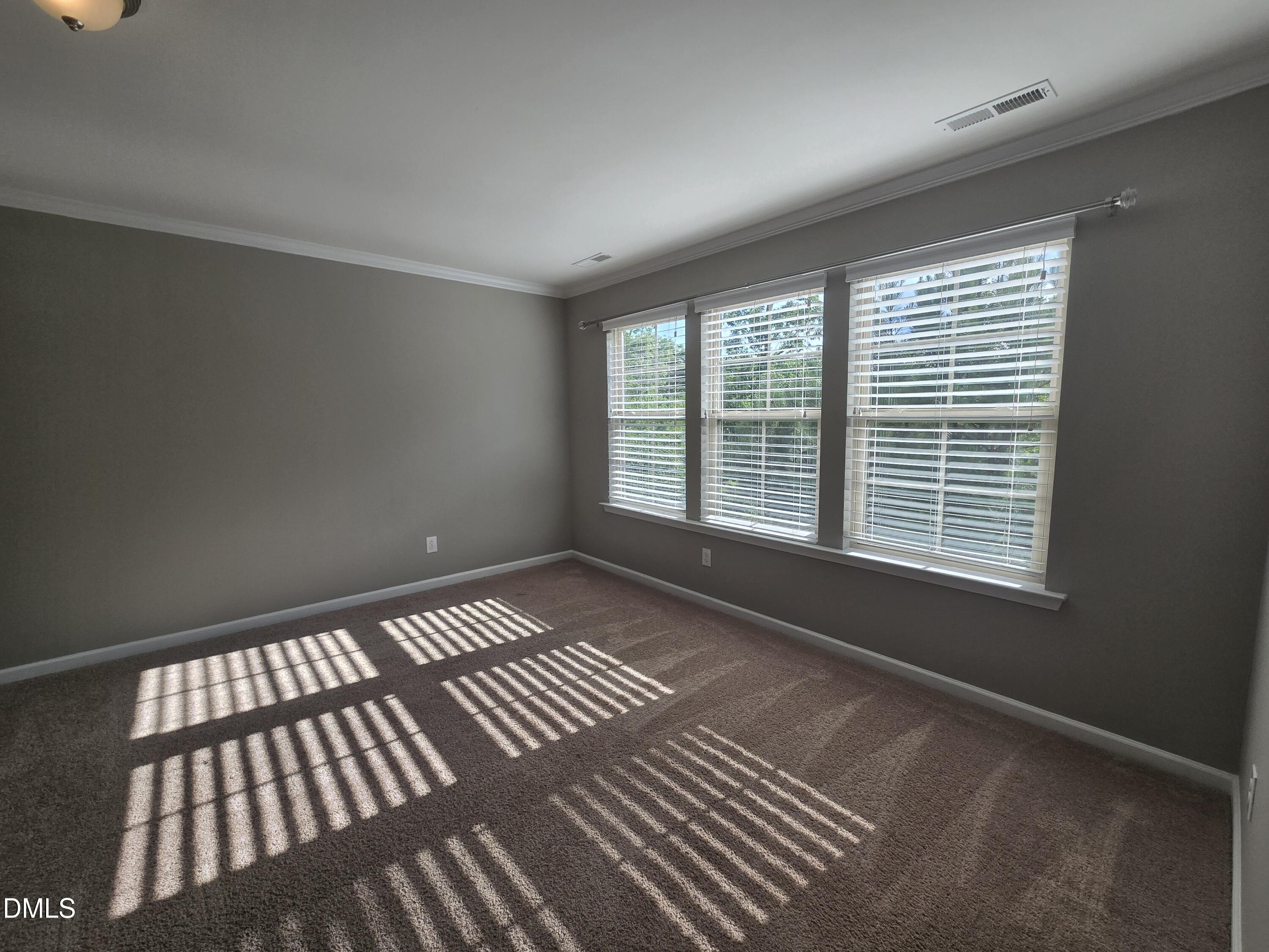 3917 Valley Side Court Property Photo 53