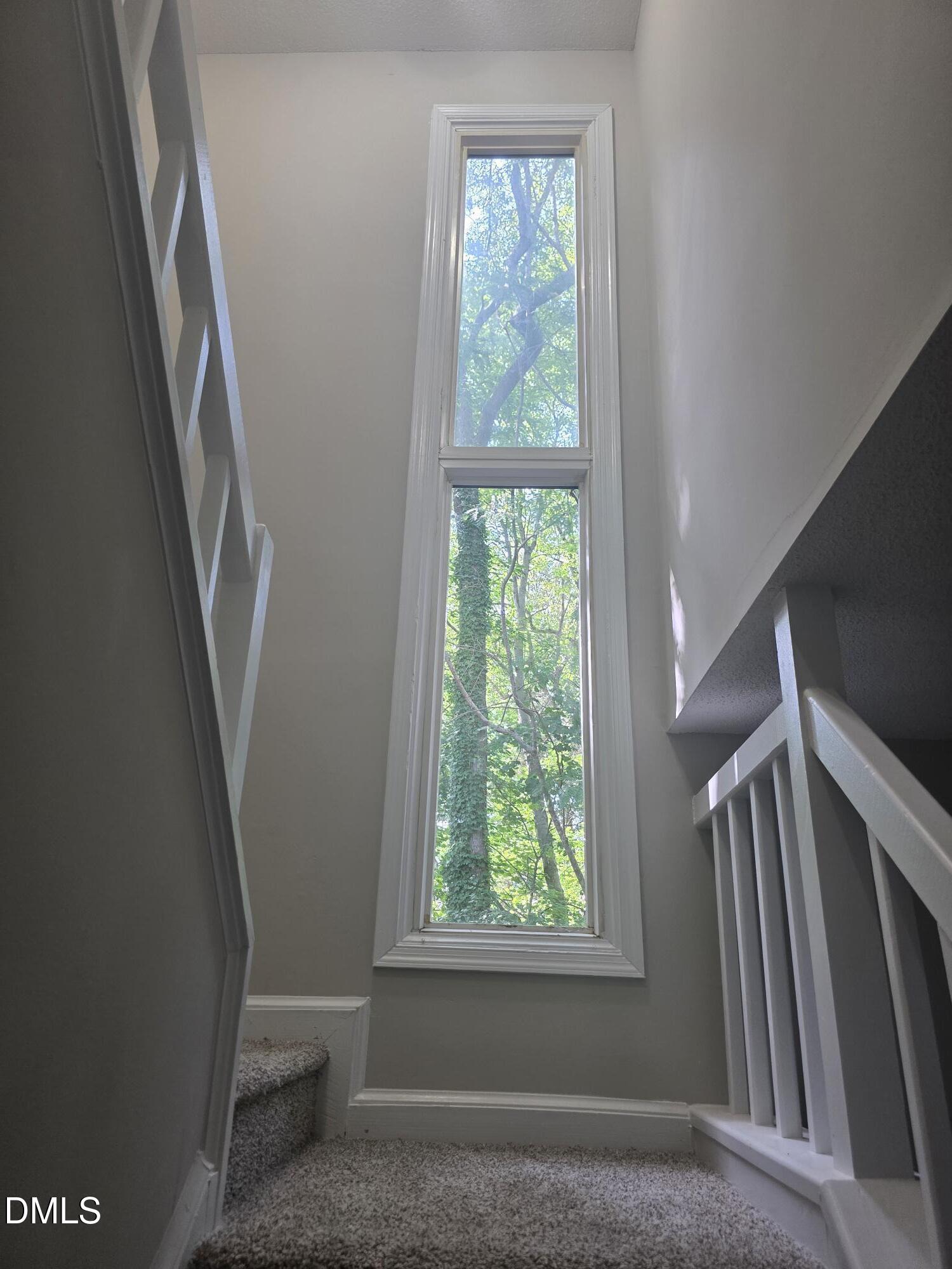 7389 Sandy Creek Drive Property Photo 20