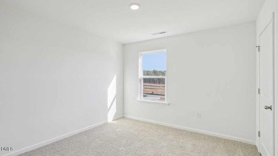 91 Tiger Eye Drive Property Photo 21