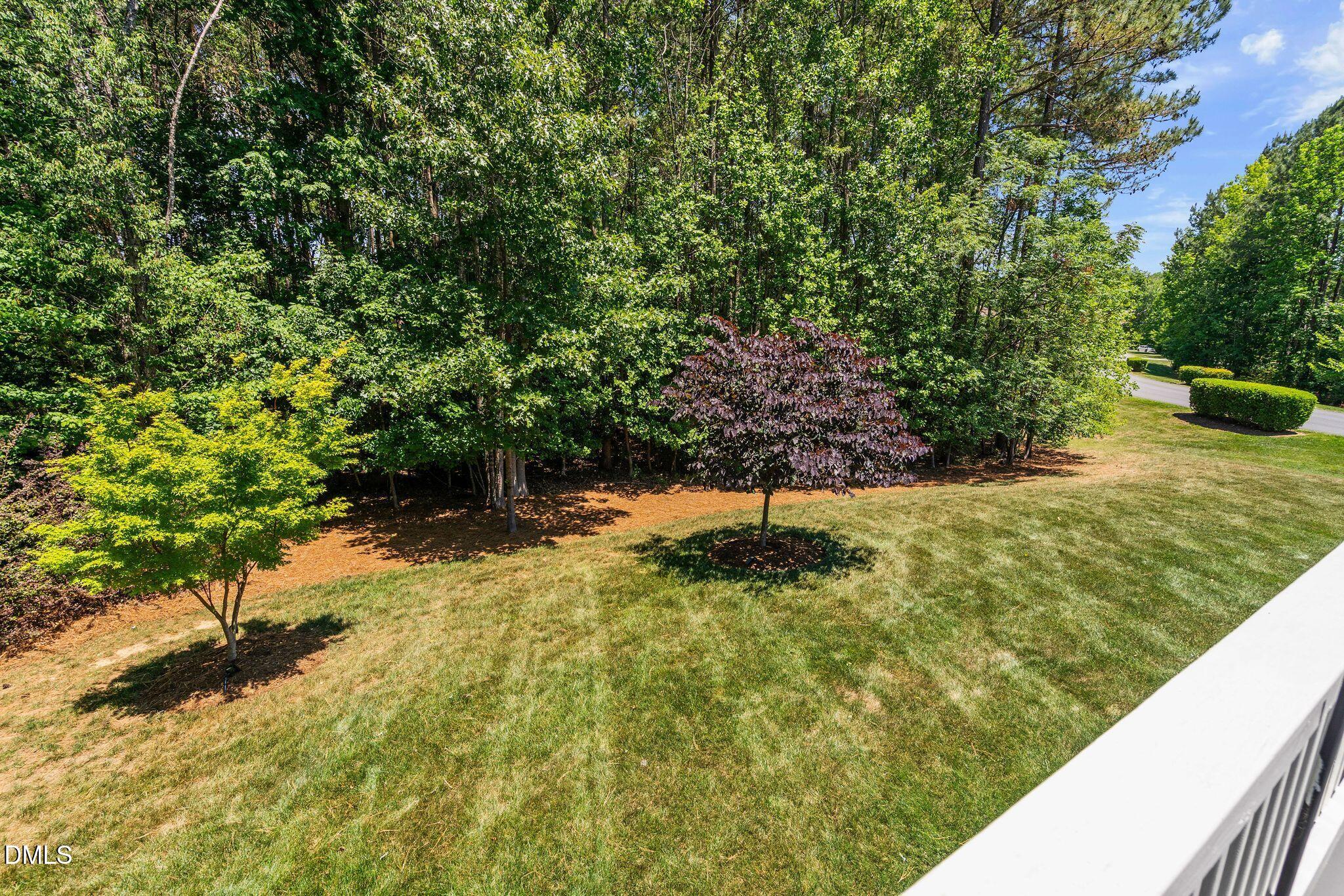 1213 Broadwing Bend Lane Property Photo 26