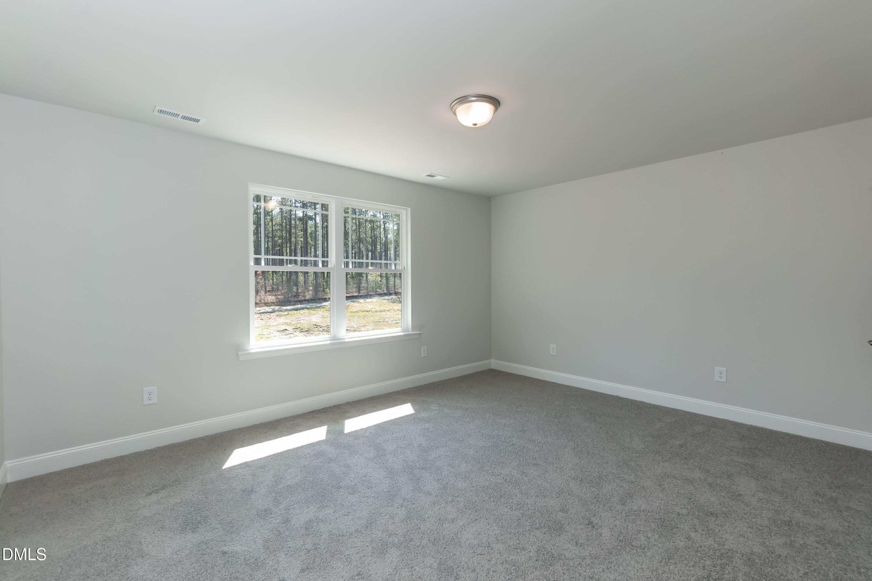 260 Hidden Pines Drive Property Photo 23