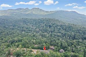 289 Linville River Drive Property Photo 8