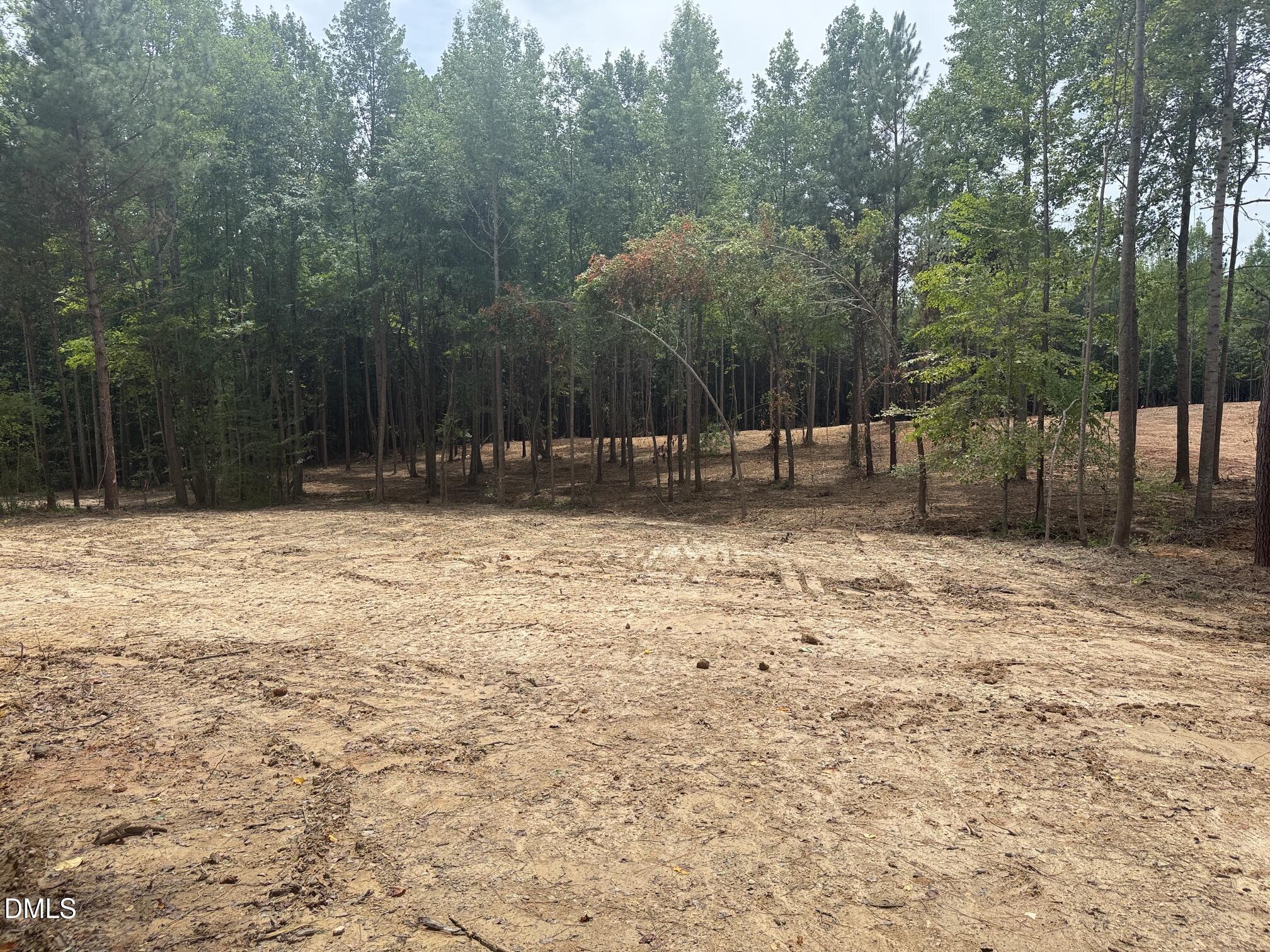 2300 Peachtree Hills Road Property Photo 4