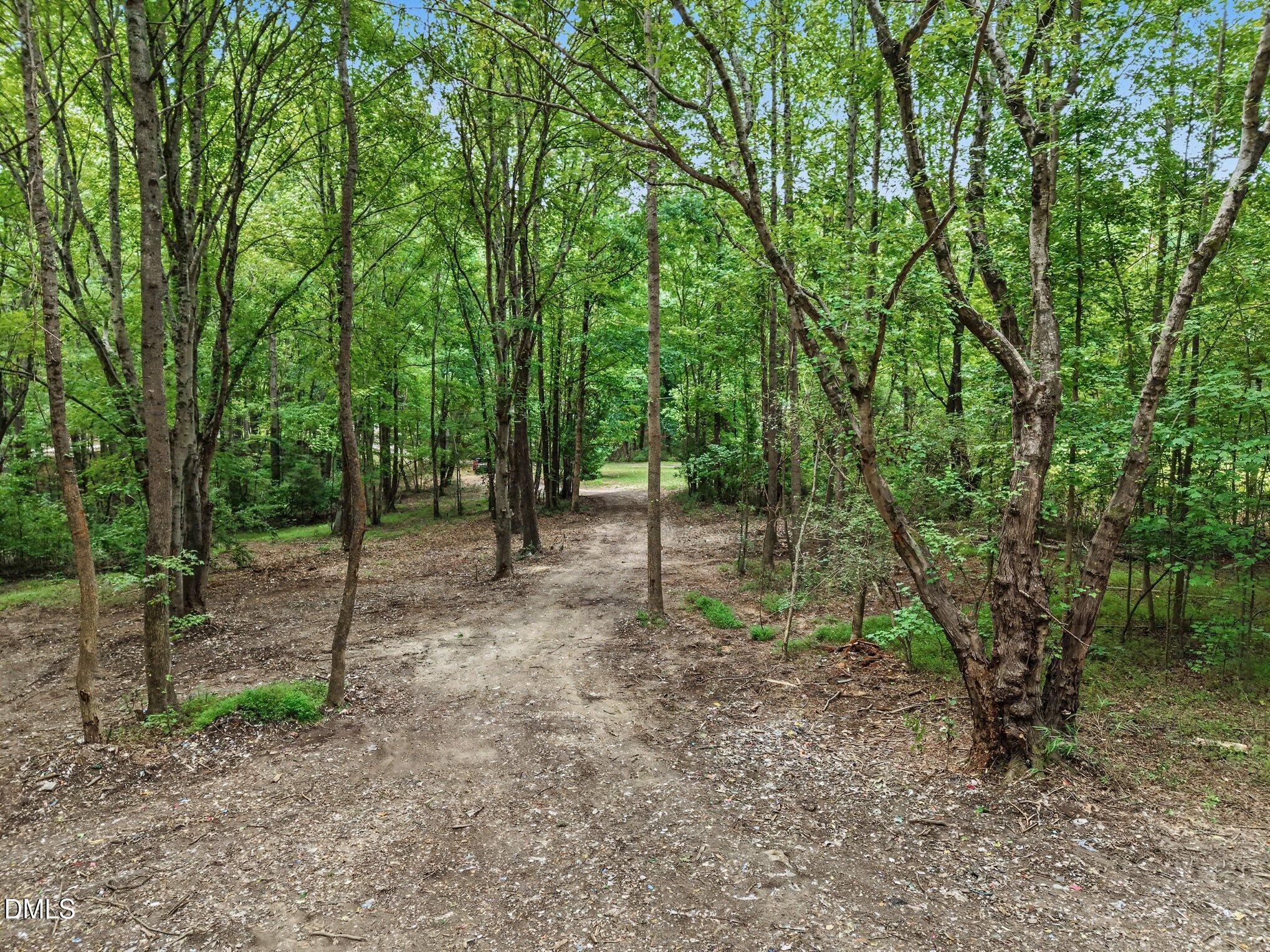 1009 Winding Creek Road Property Photo 2
