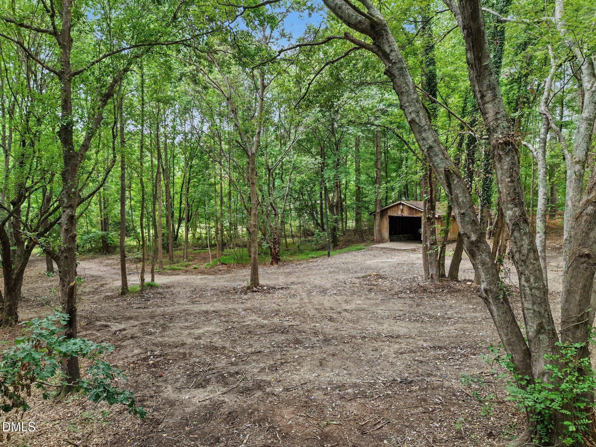 1009 Winding Creek Road Property Photo 6