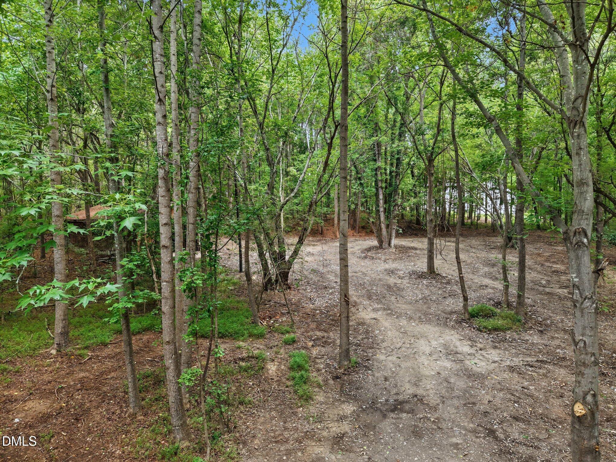 1009 Winding Creek Road Property Photo 7