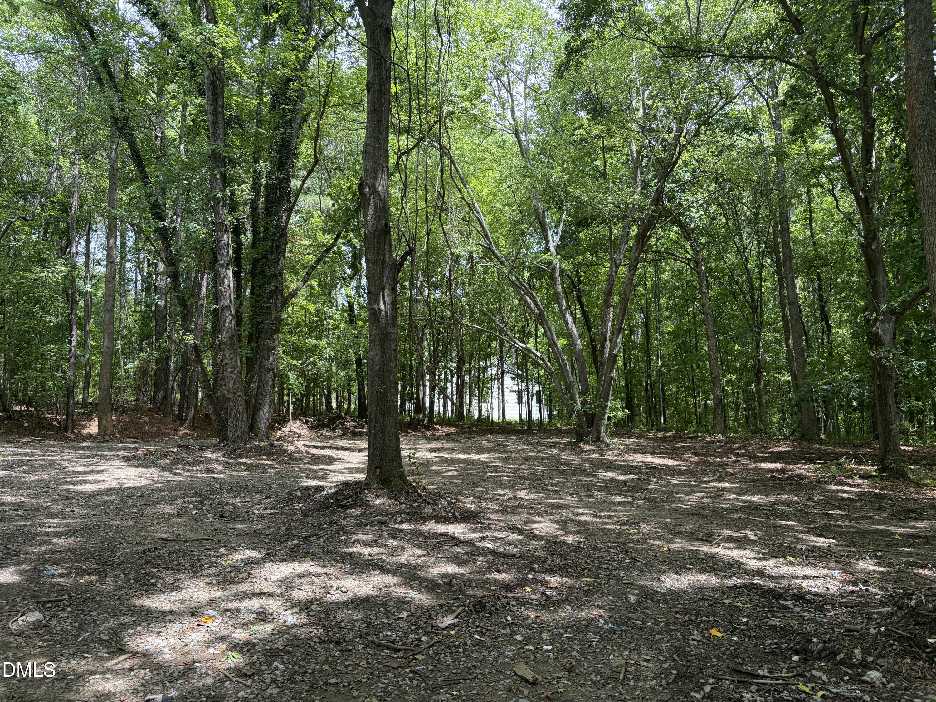 1009 Winding Creek Road Property Photo 23