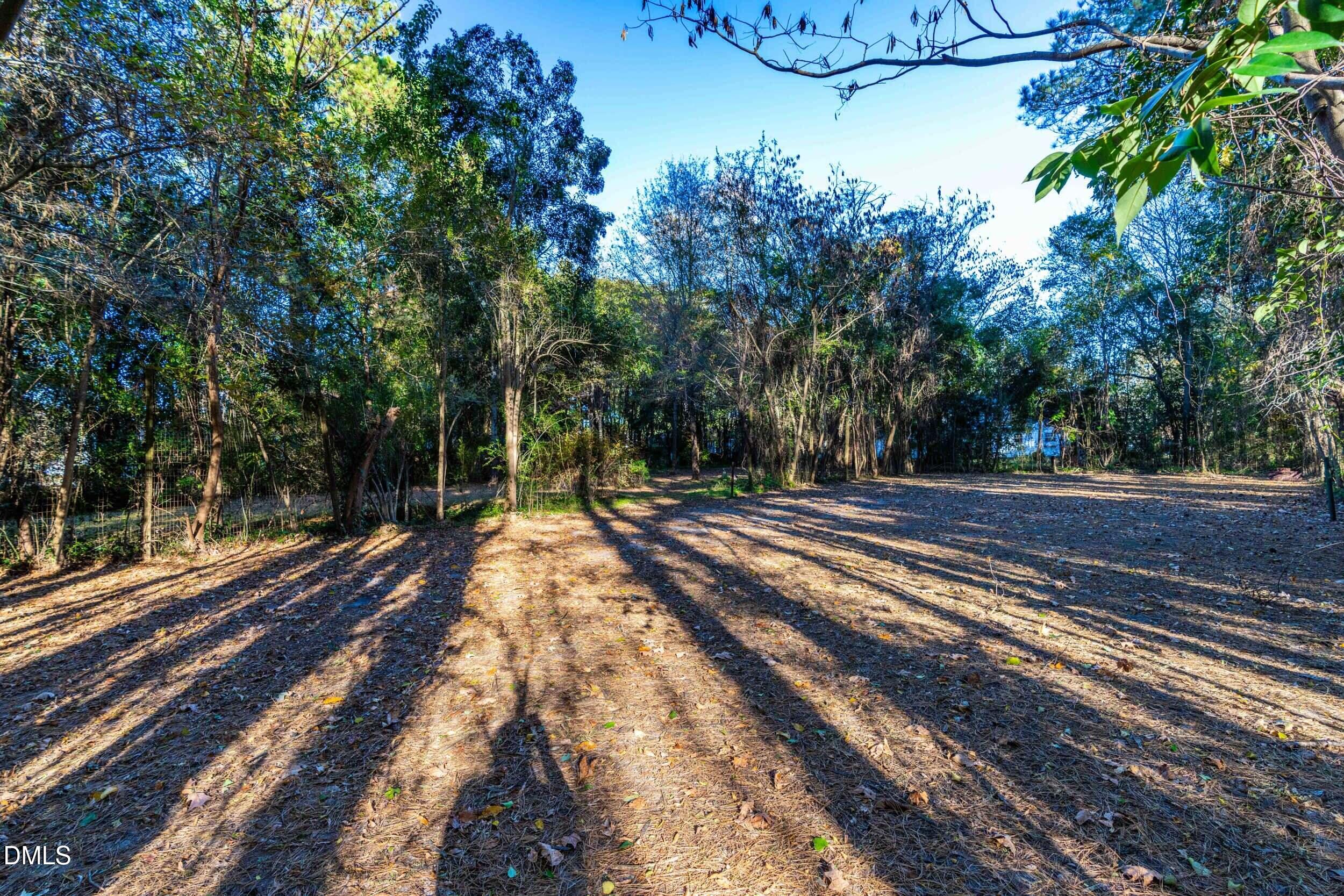 705 Wilsons Mills Road Property Photo 17