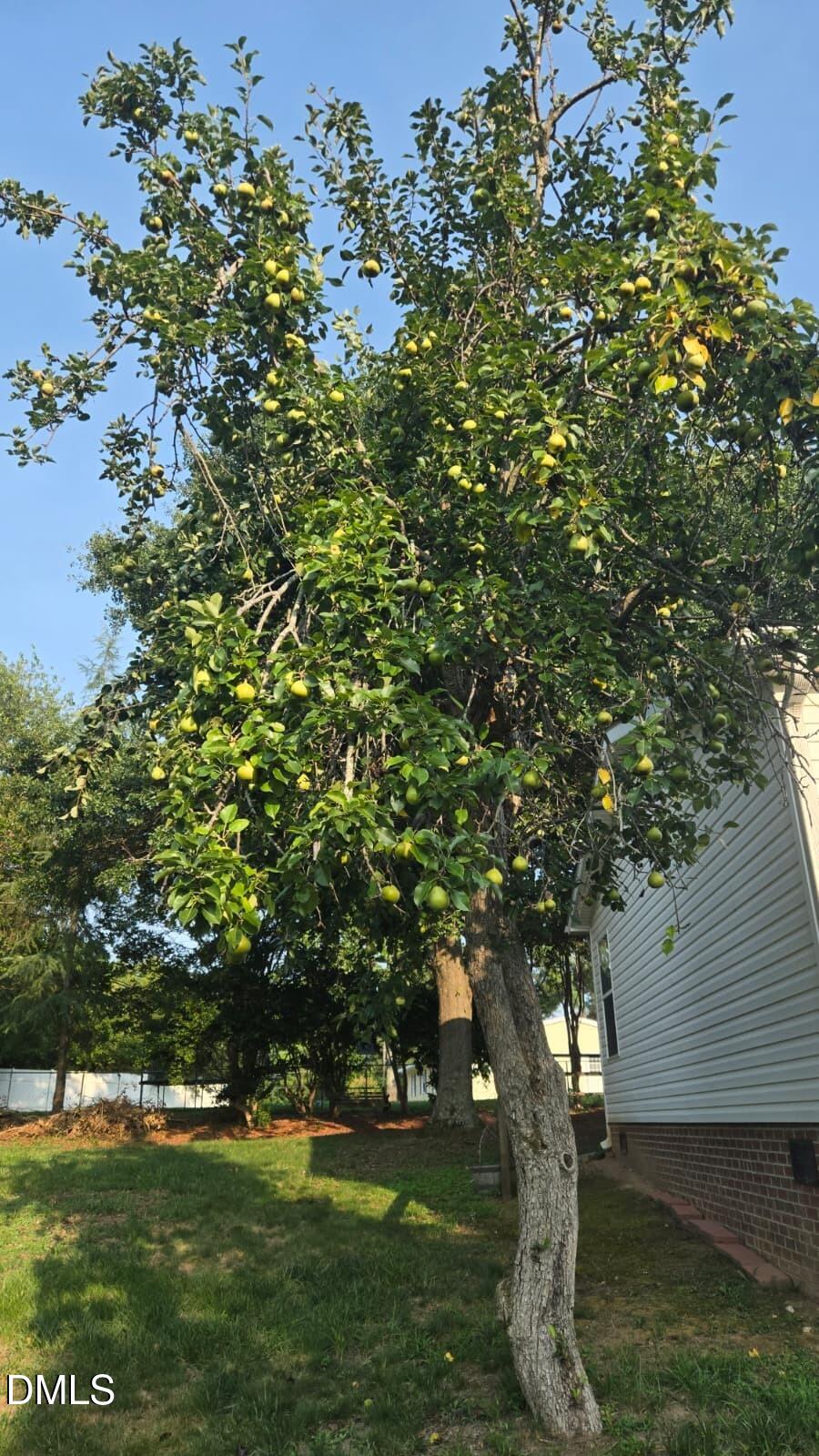 530 Avent Ferry Road Property Photo 25