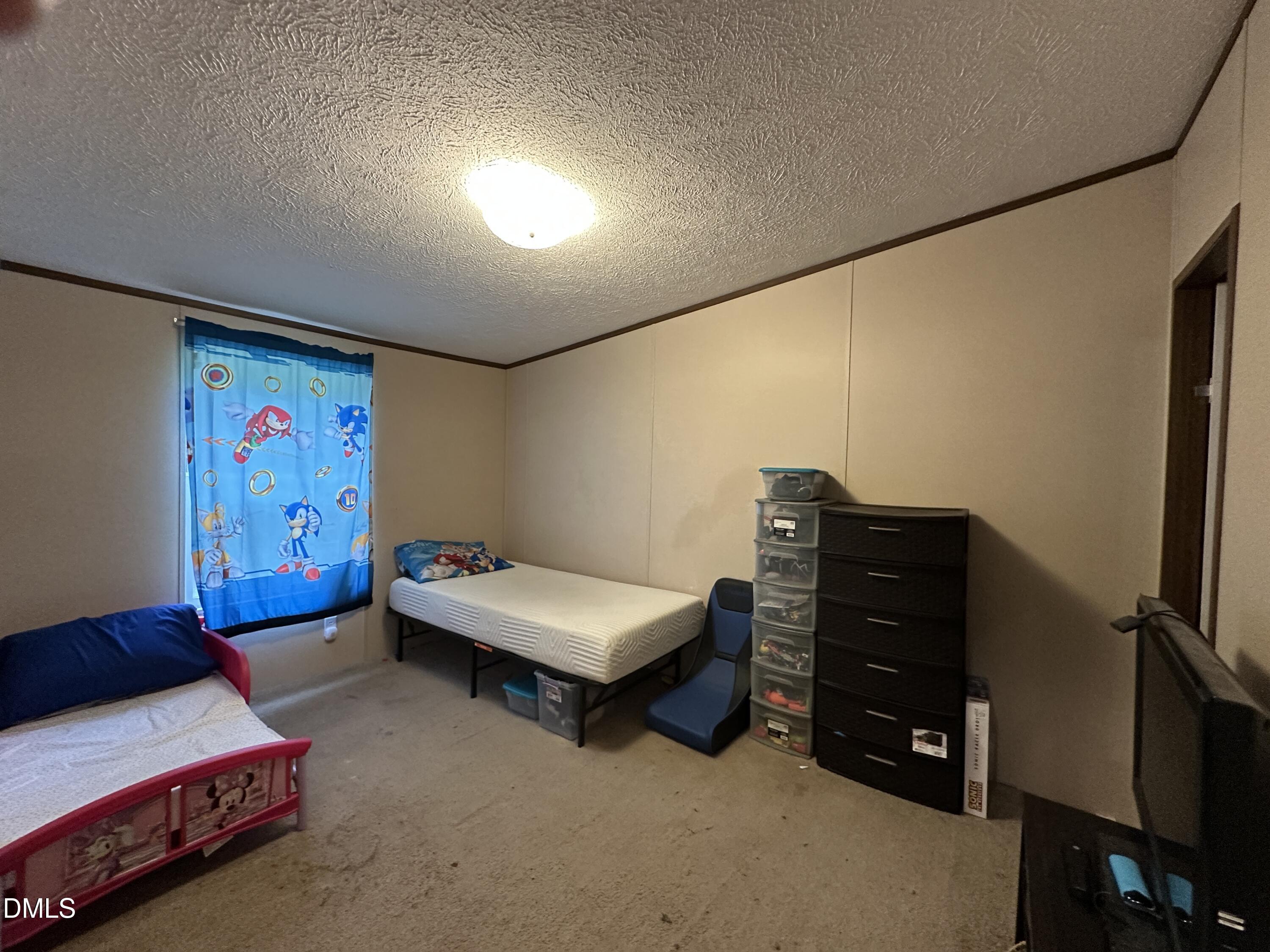 100 Rough Lane Property Photo 24