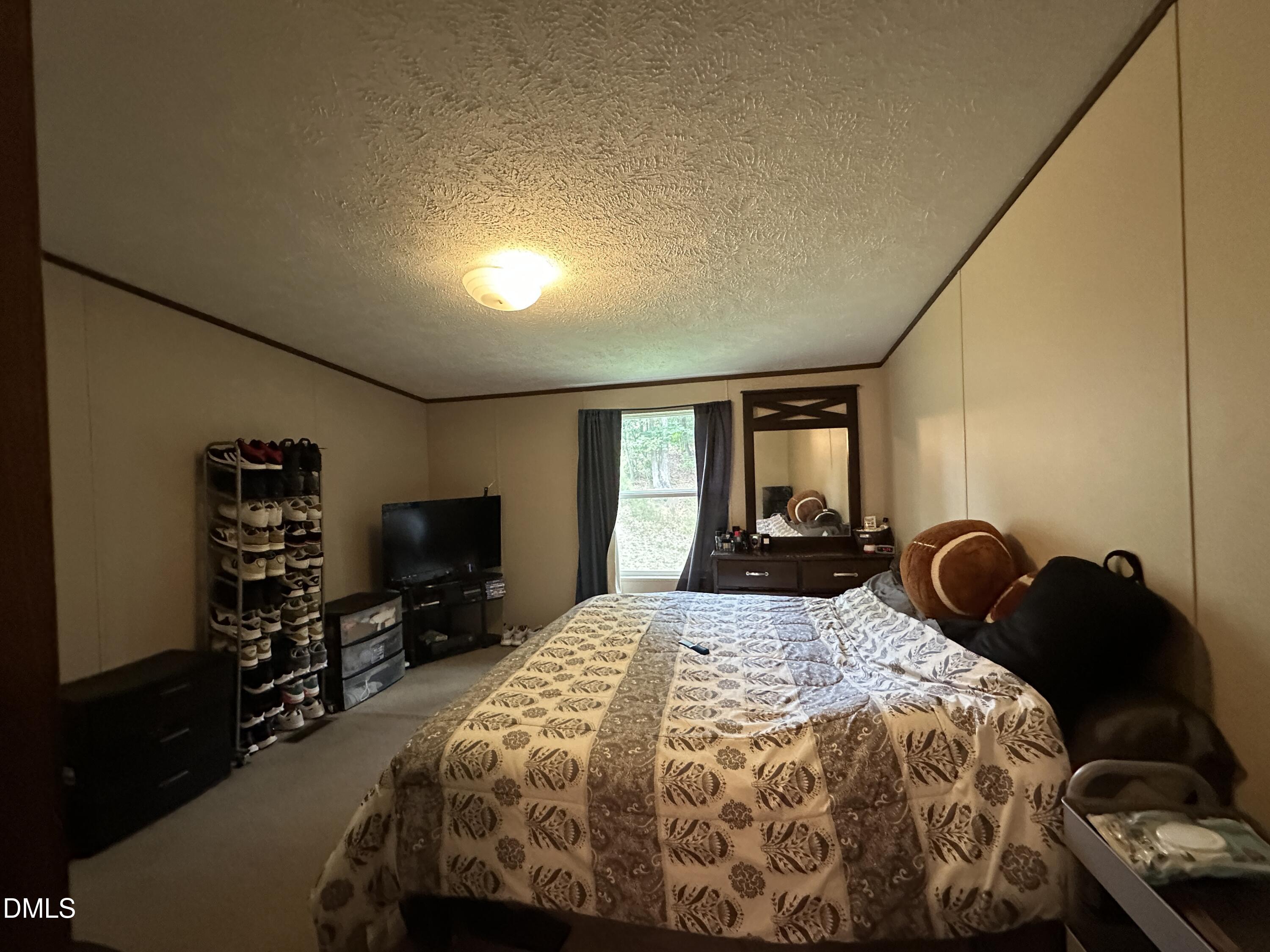 100 Rough Lane Property Photo 29
