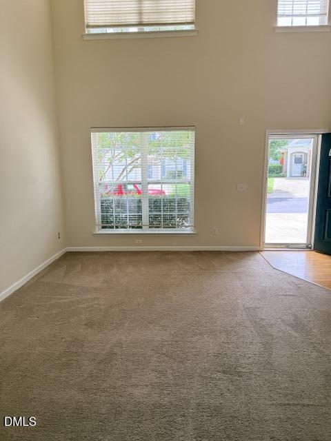204 Caraleigh Court Property Photo 22