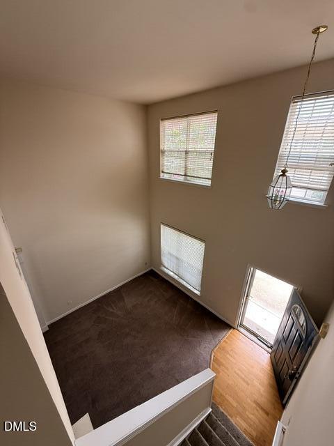 204 Caraleigh Court Property Photo 32