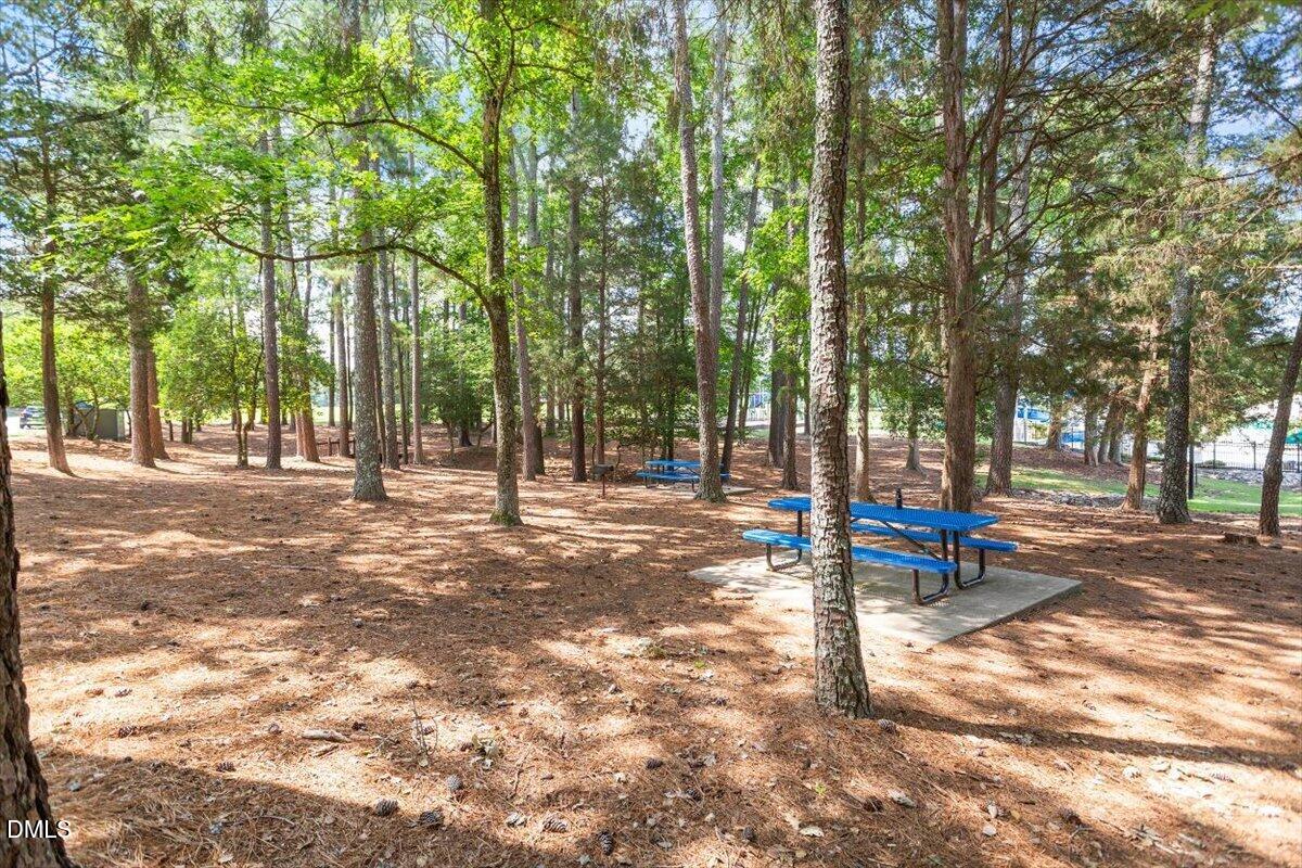 205 Hickory Glen Lane Property Photo 46