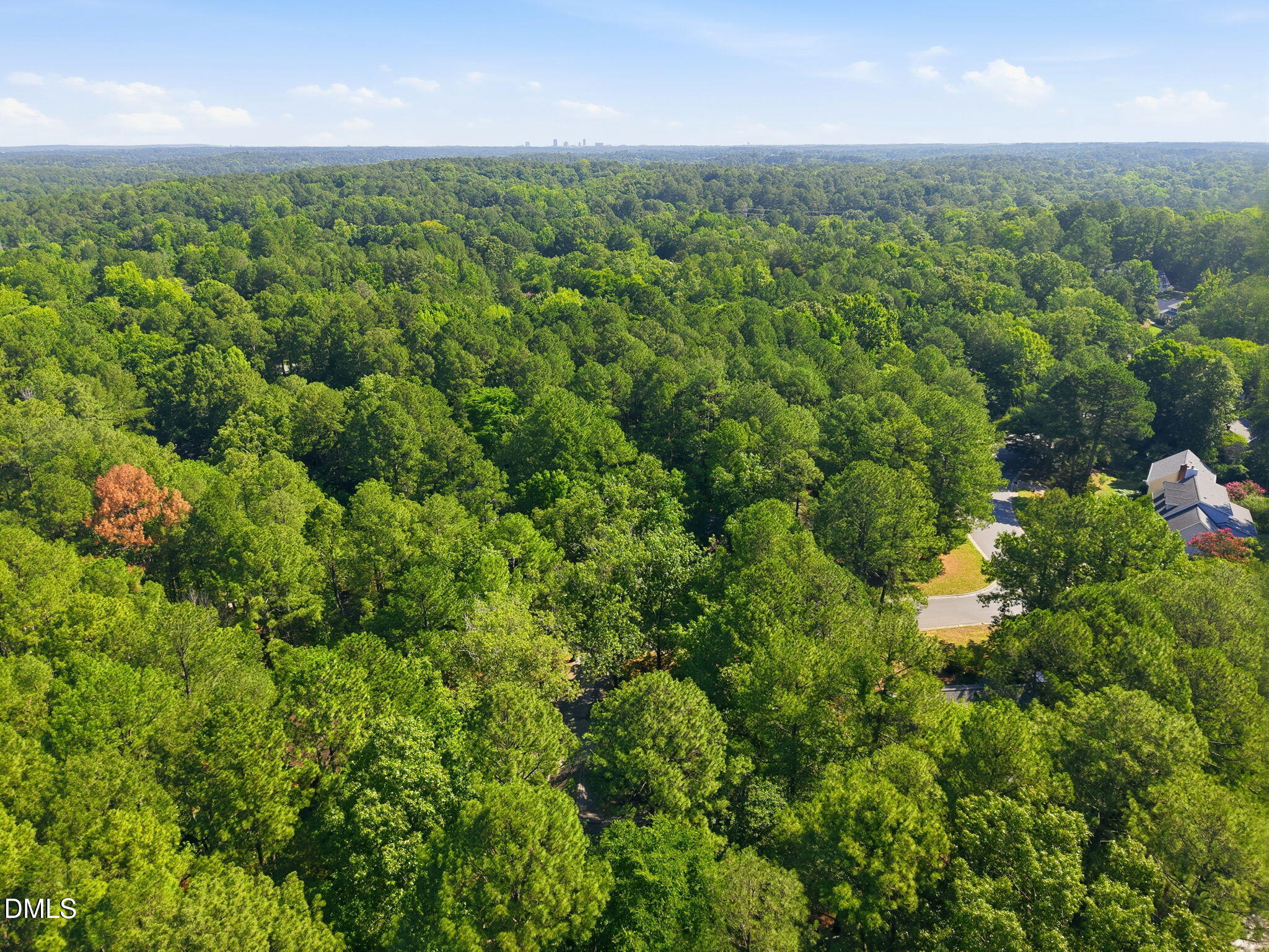 6 Saint James Court Property Photo 49