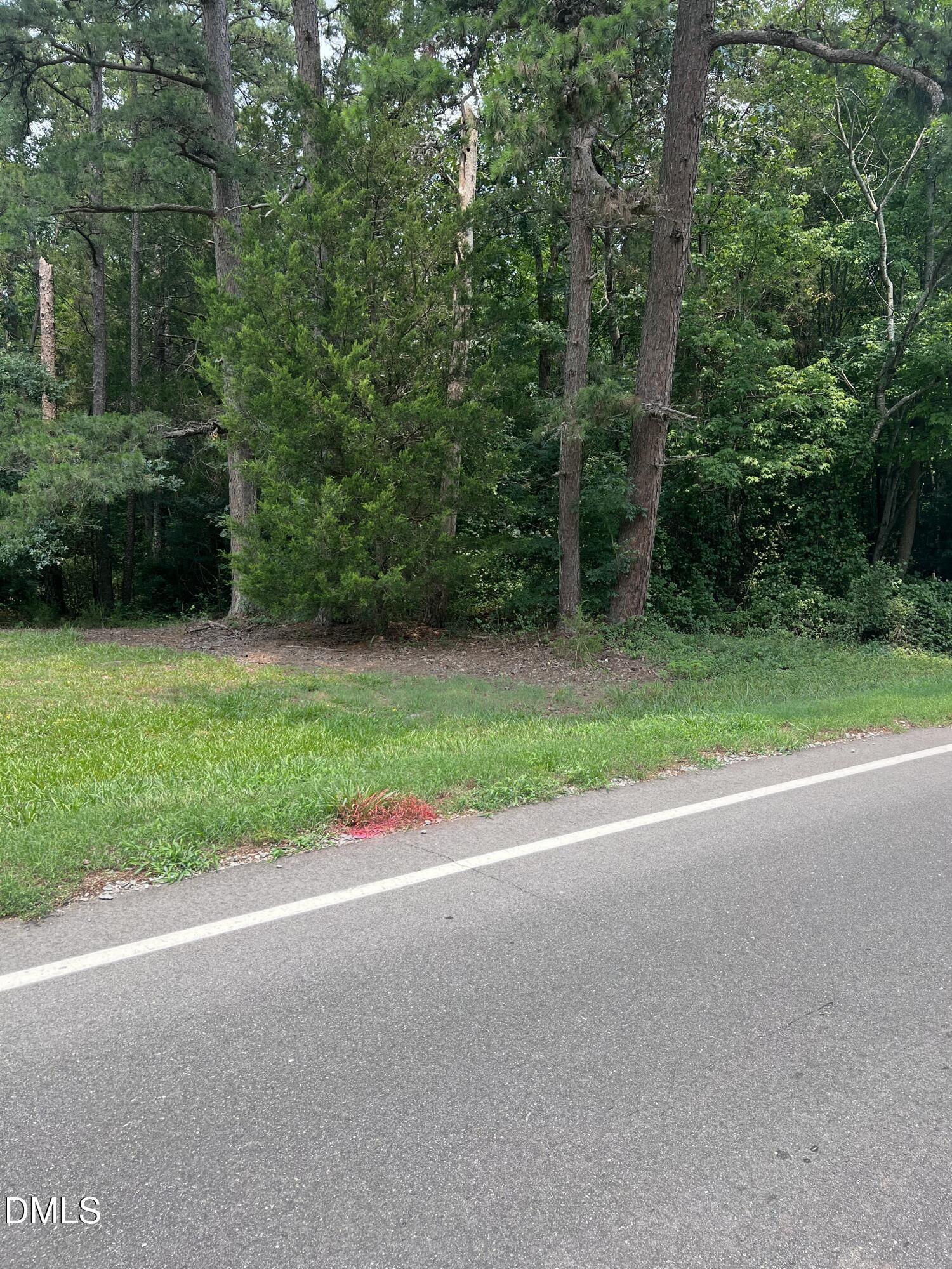 Lot 1 Elmer Moore Road Property Photo 1