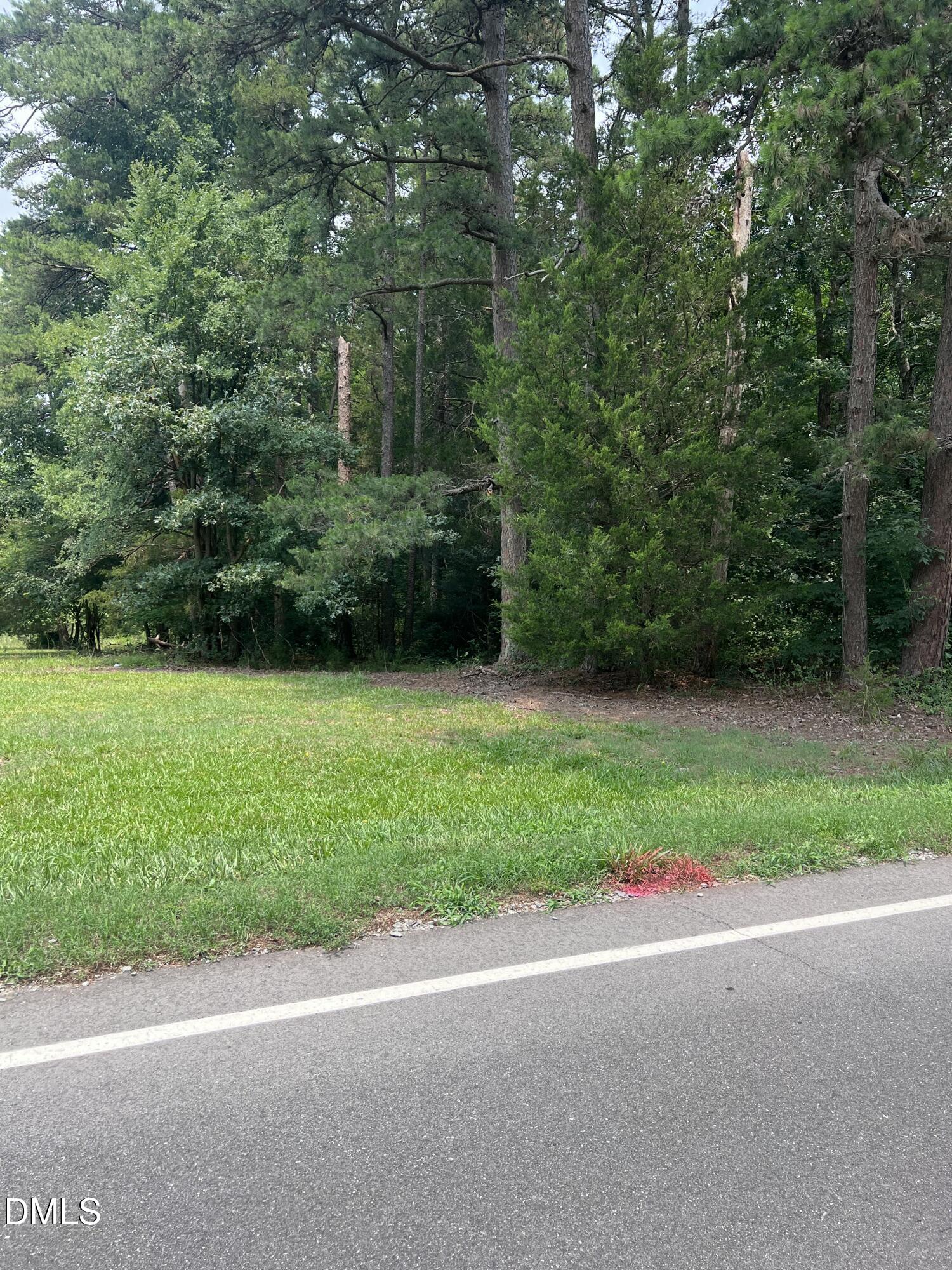 Lot 1 Elmer Moore Road Property Photo 2