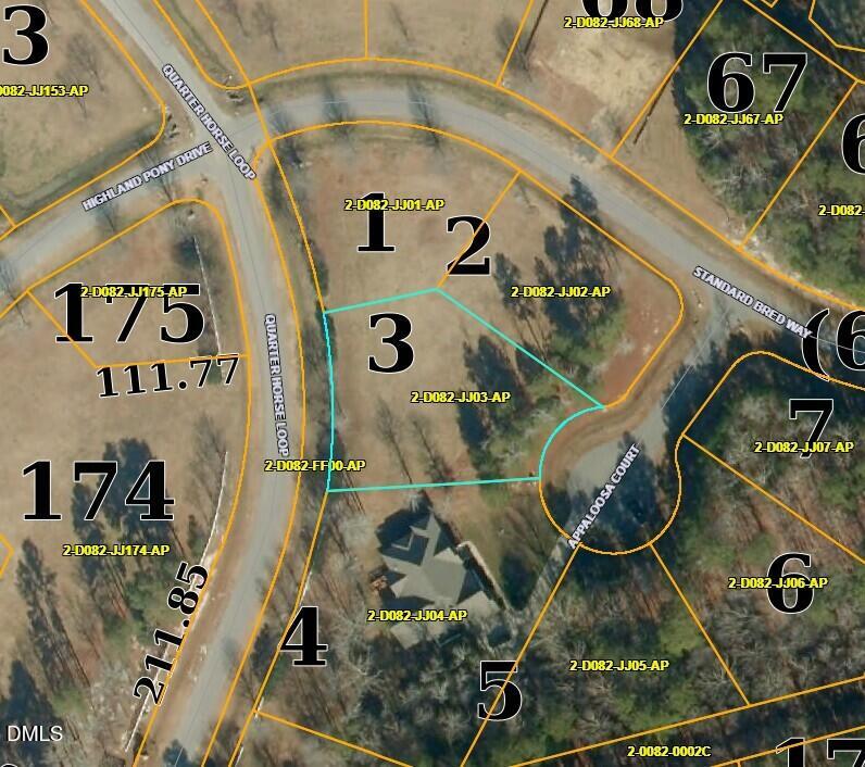 Lot 3 Appaloosa Court Property Photo 1