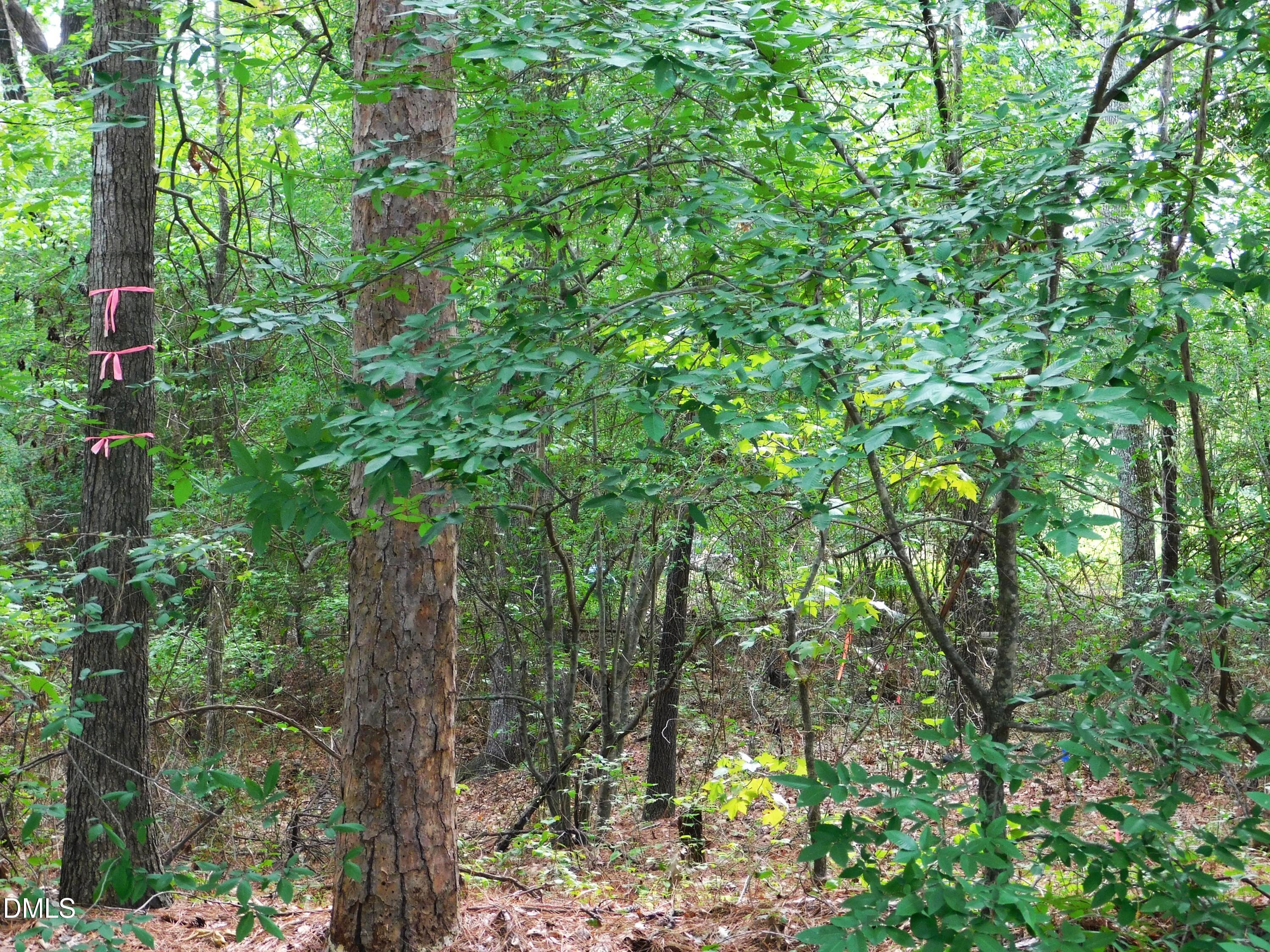 4815 Redwood Road Property Photo 6