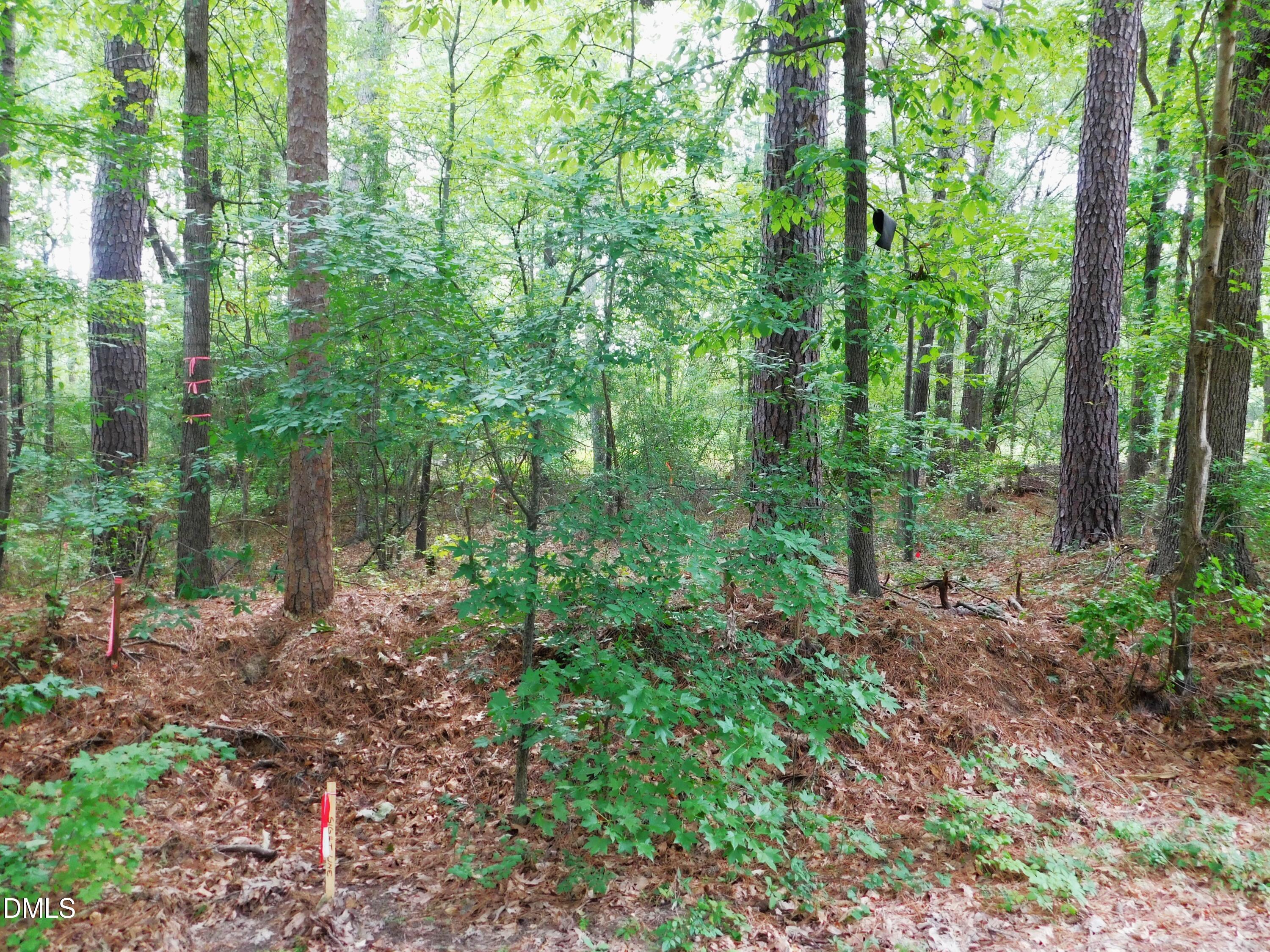 4815 Redwood Road Property Photo 8