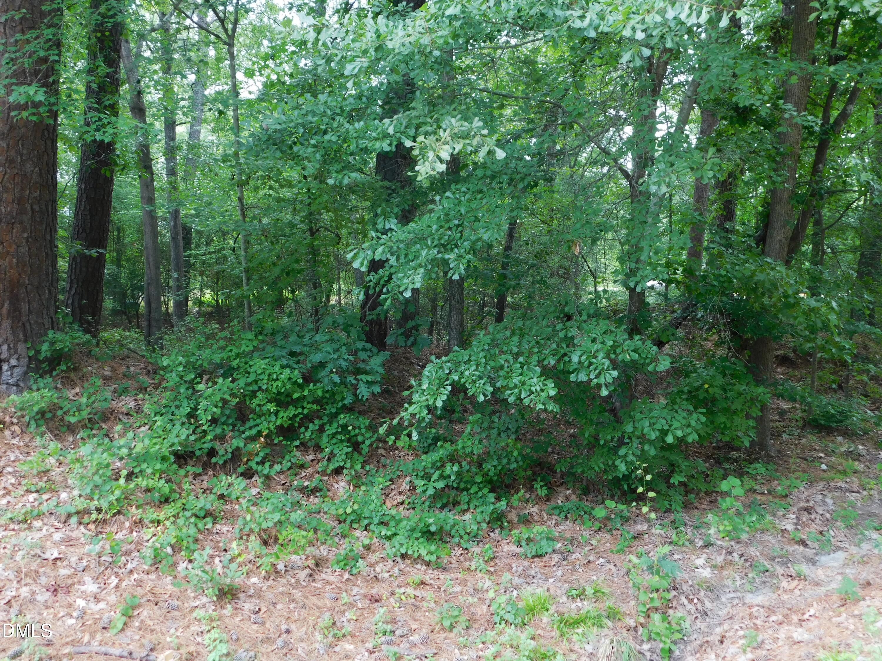 4815 Redwood Road Property Photo 9