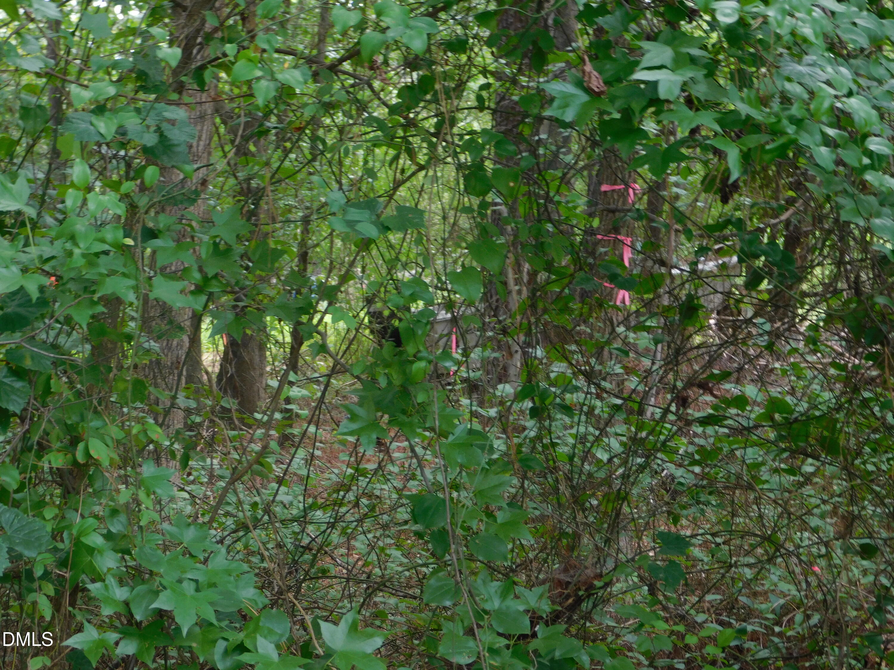 4815 Redwood Road Property Photo 12