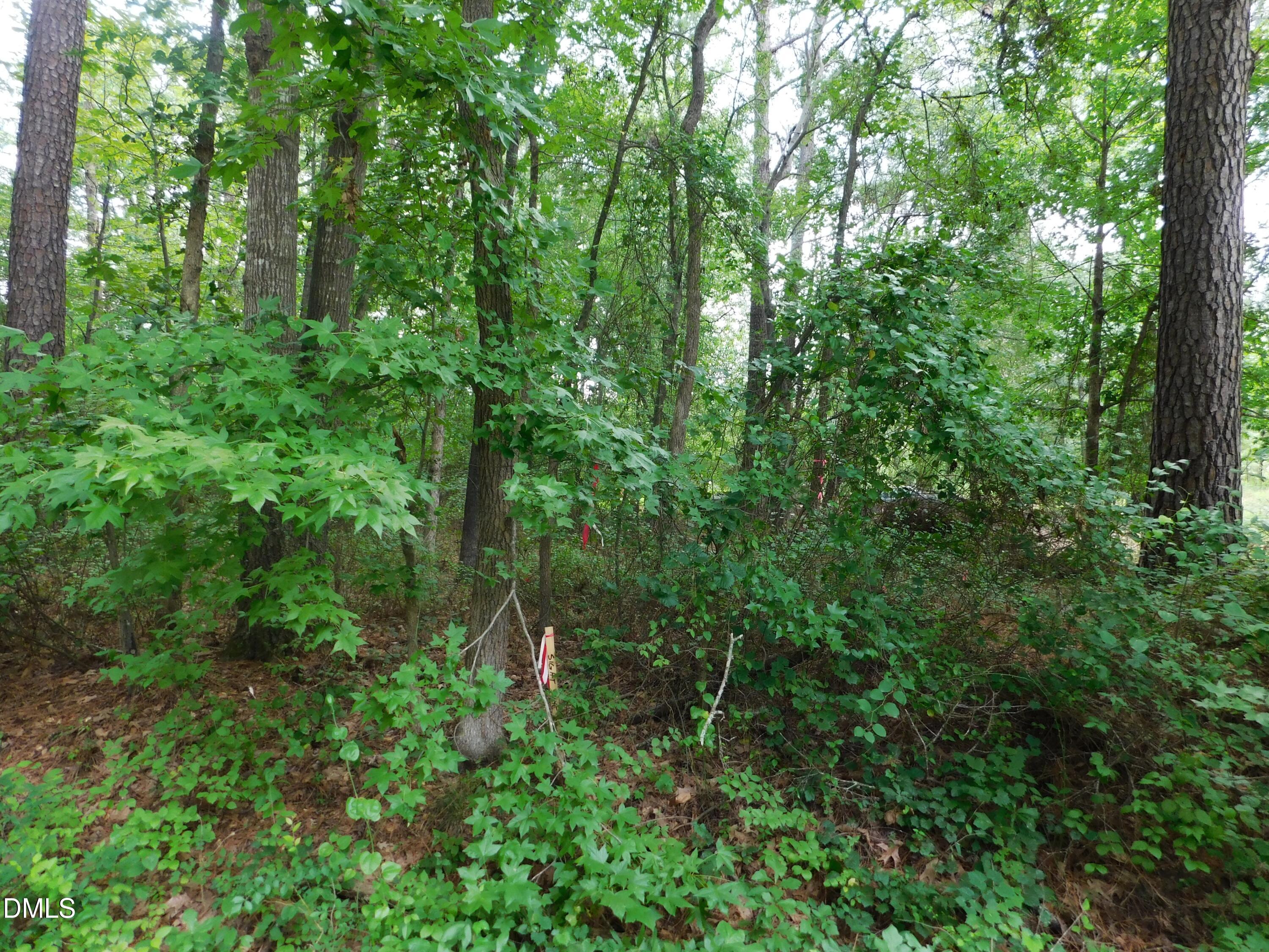 4815 Redwood Road Property Photo 13