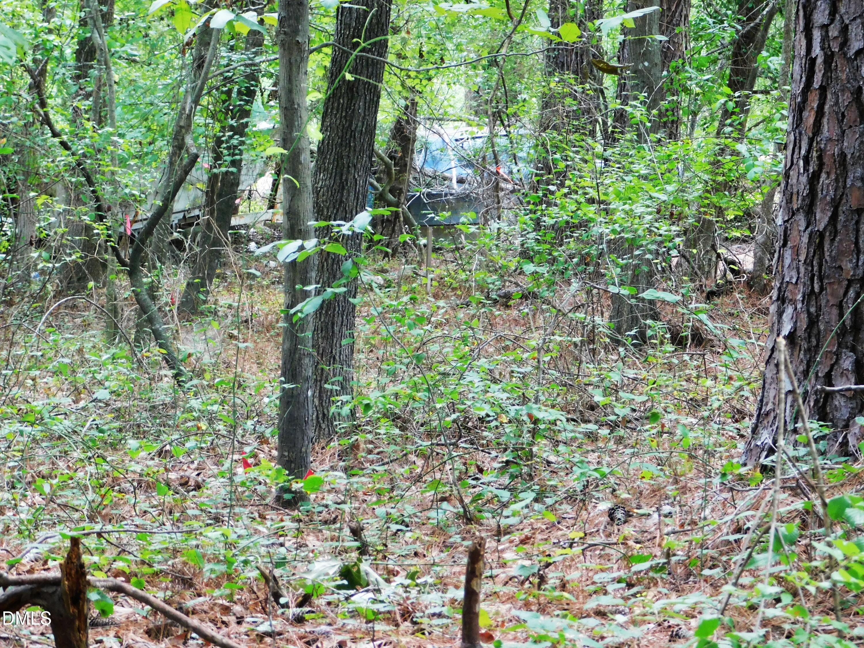 4815 Redwood Road Property Photo 14