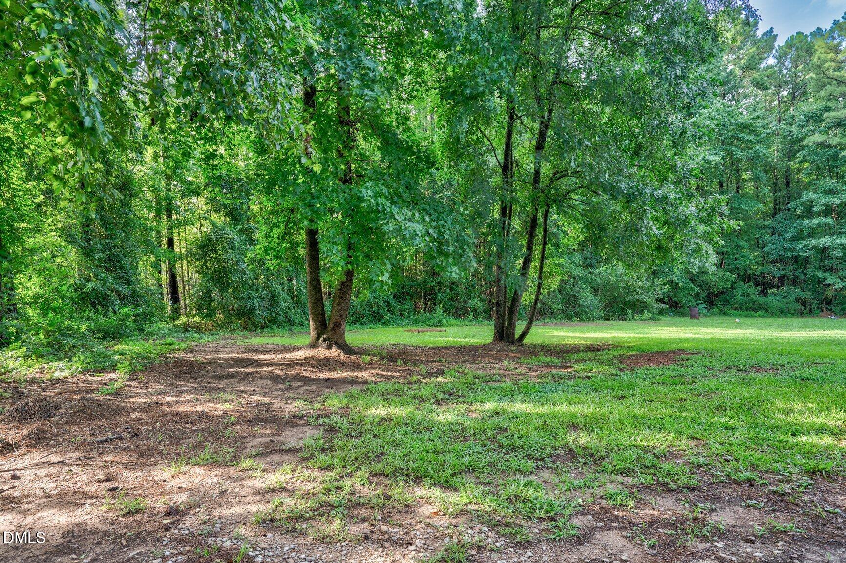 12387 Selma Road Property Photo 24