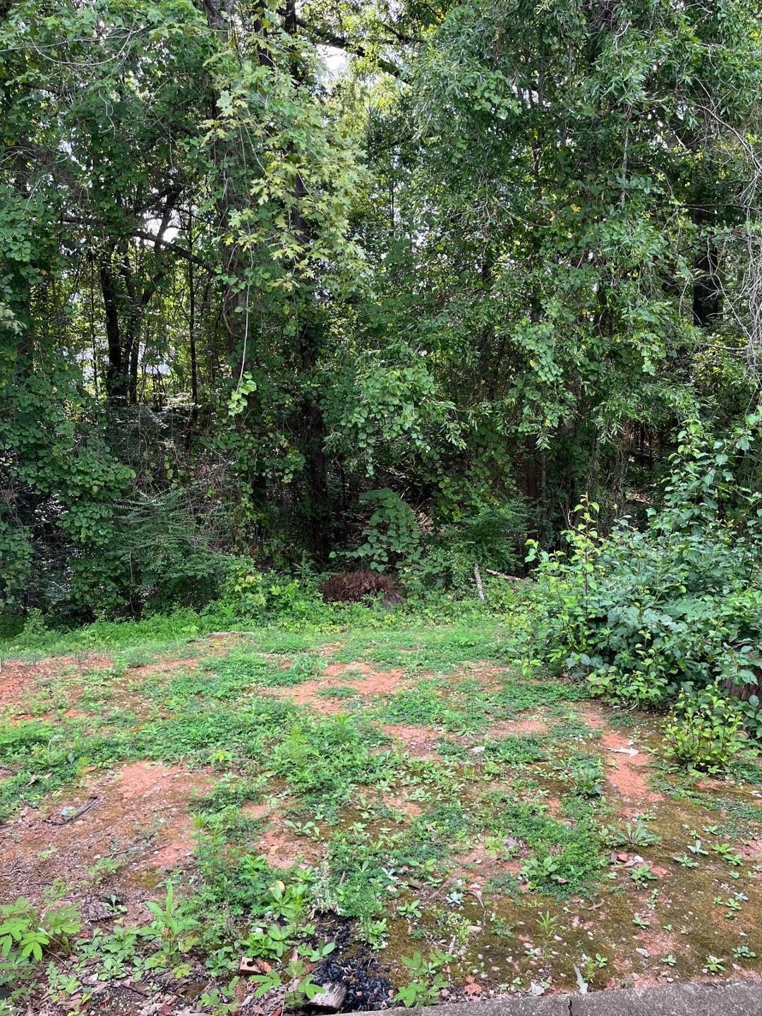 321 Woodson Drive Property Photo 24