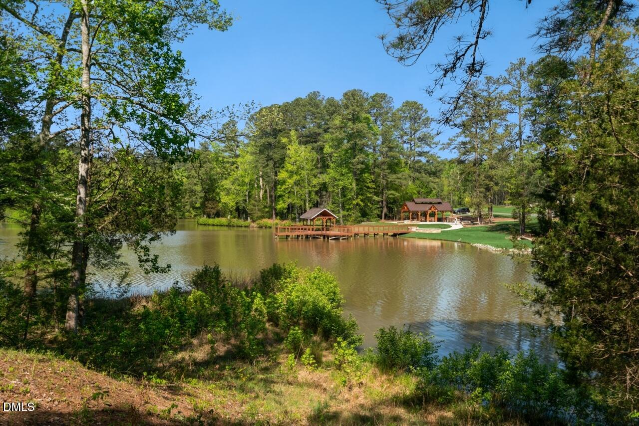 1047 Coldspring Circle Property Photo 51