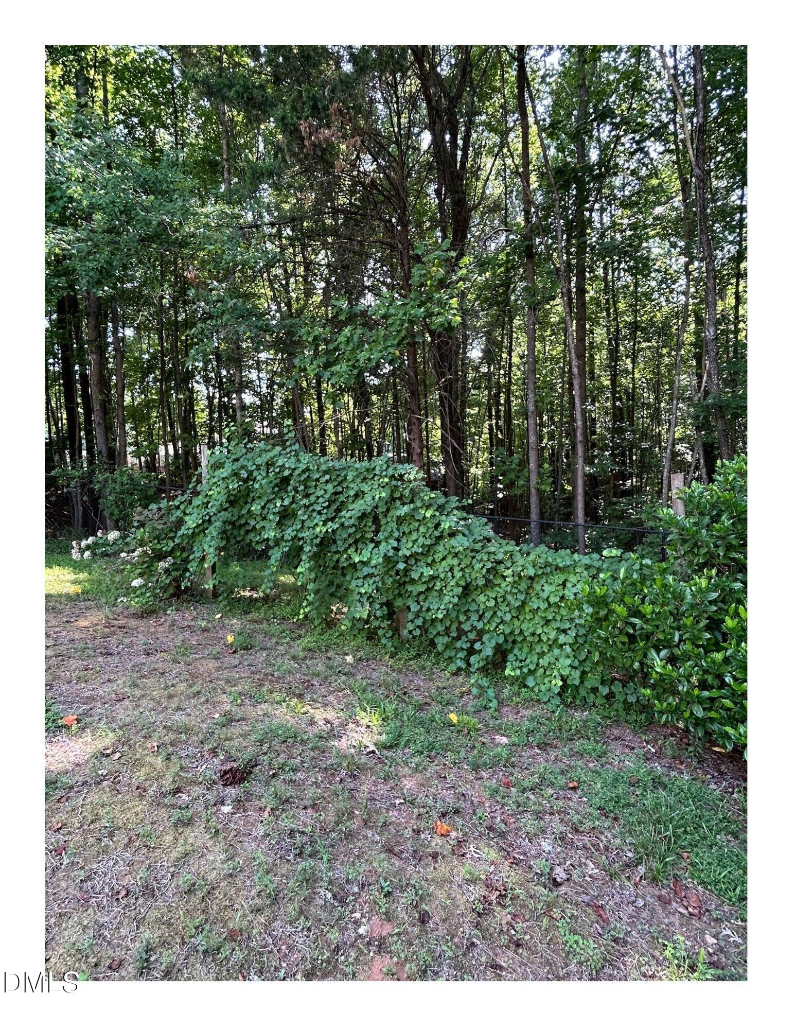 153 Smiths Creek Drive Property Photo 30