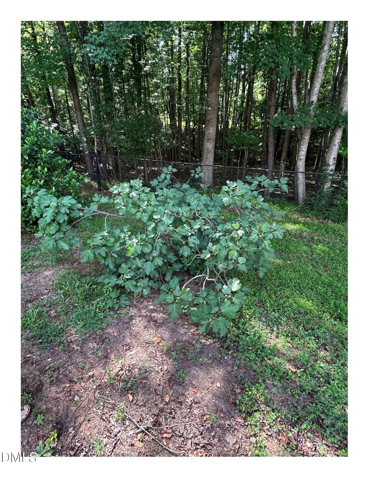 153 Smiths Creek Drive Property Photo 36