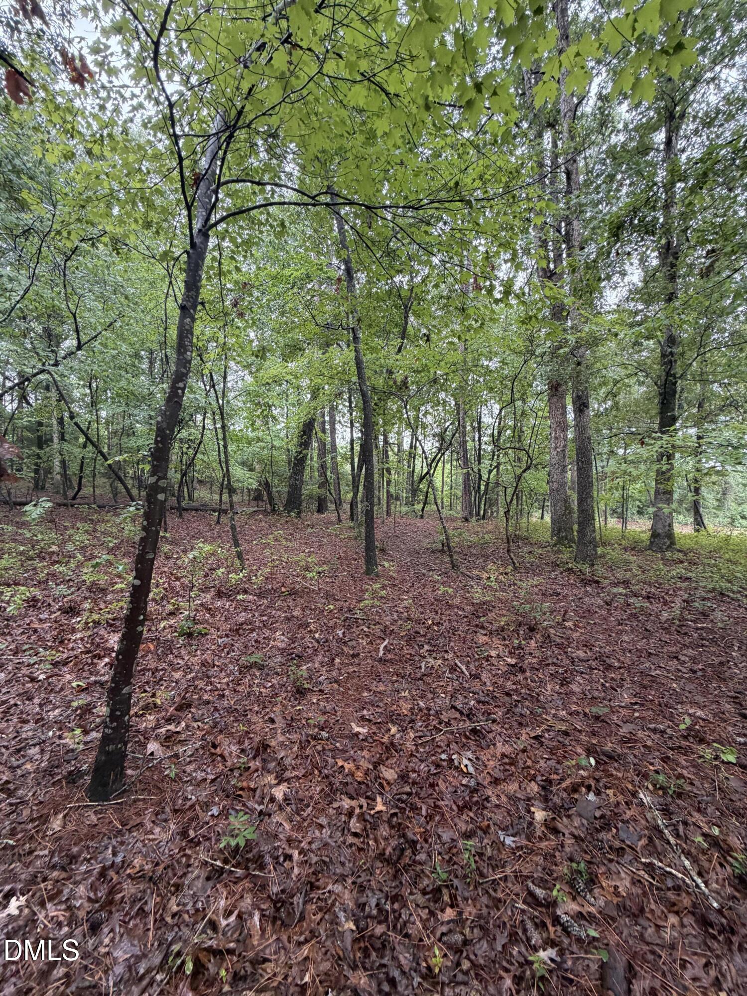 Lot 5 Claude Lewis Road Property Photo 3