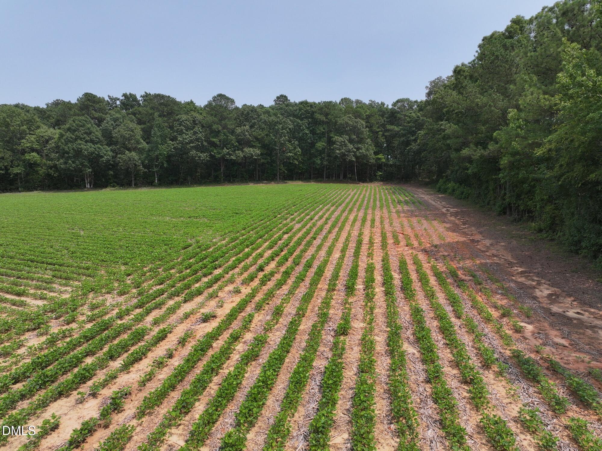 Lot 5 Claude Lewis Road Property Photo 5