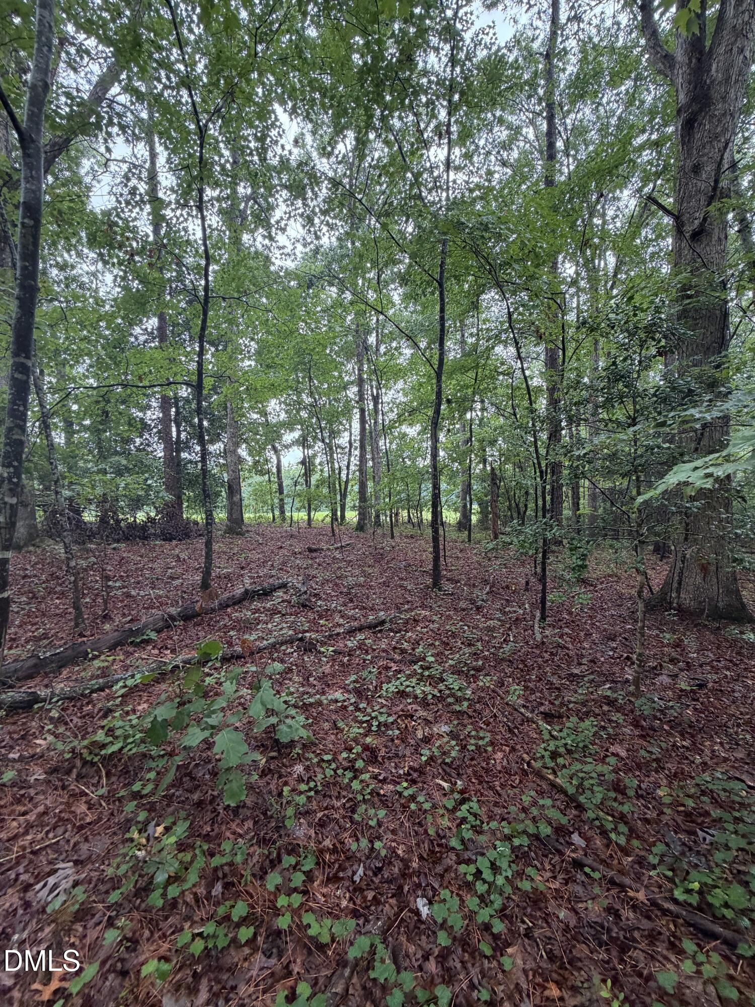 Lot 5 Claude Lewis Road Property Photo 6
