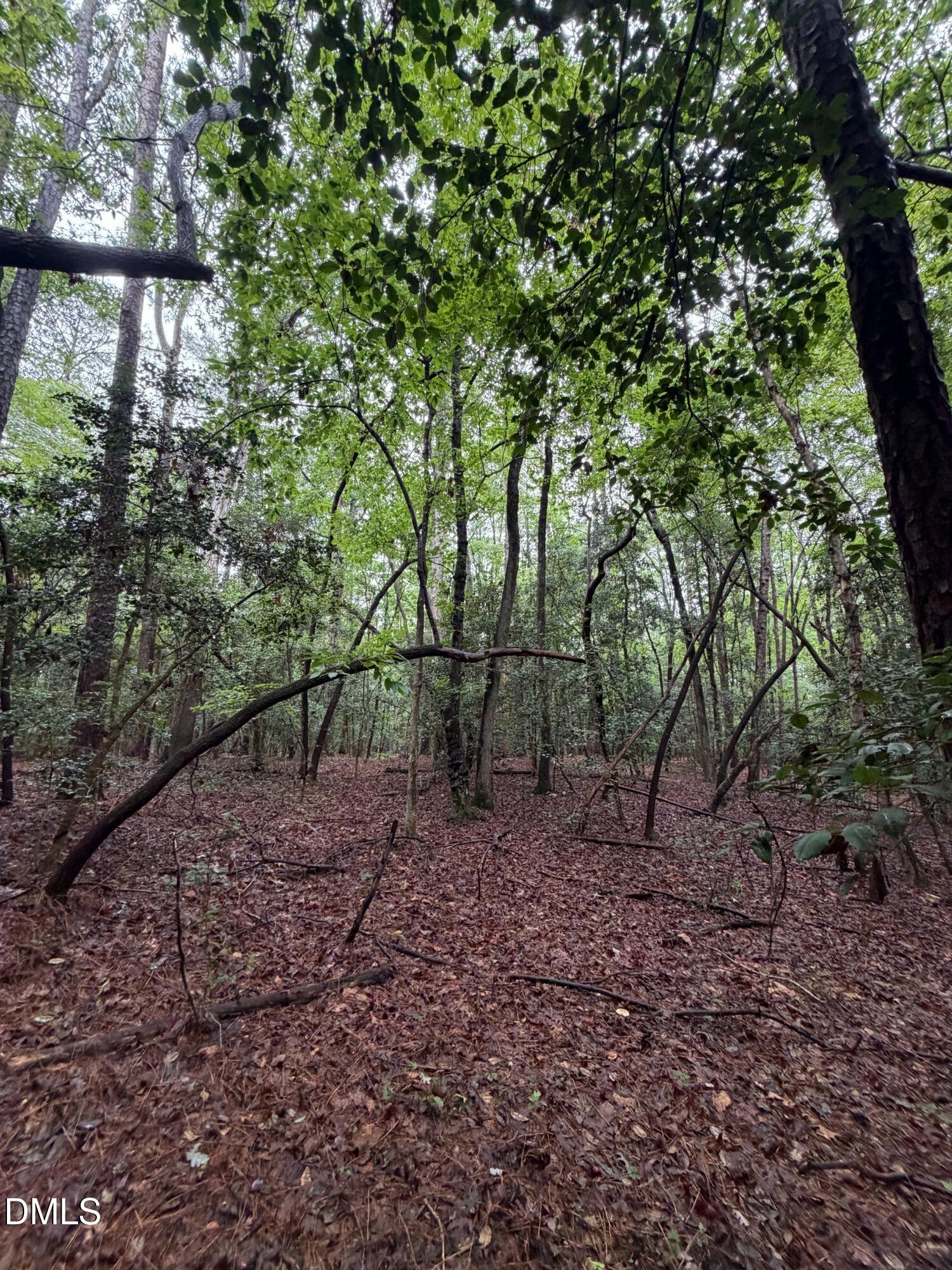 Lot 5 Claude Lewis Road Property Photo 7