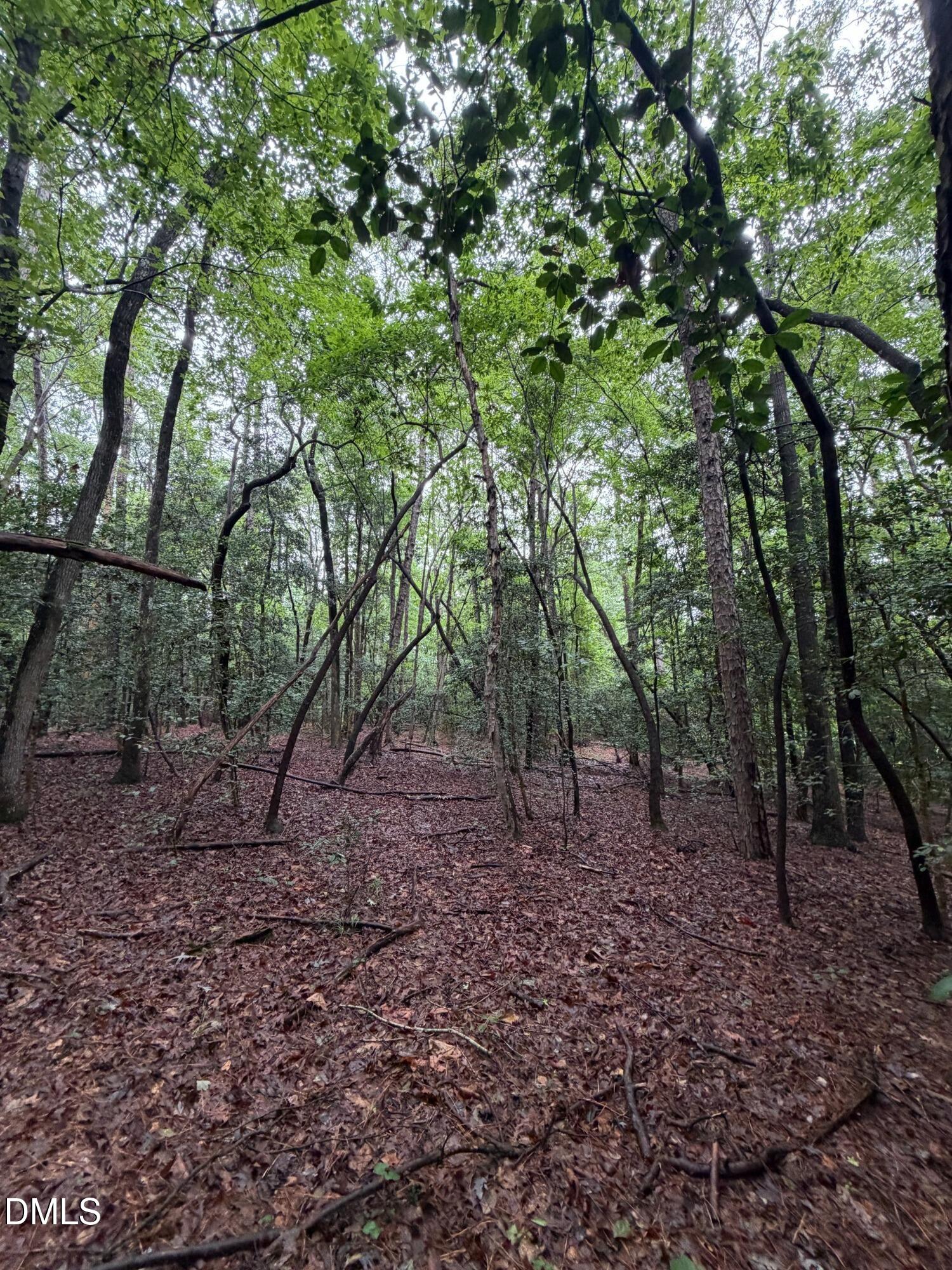 Lot 5 Claude Lewis Road Property Photo 8