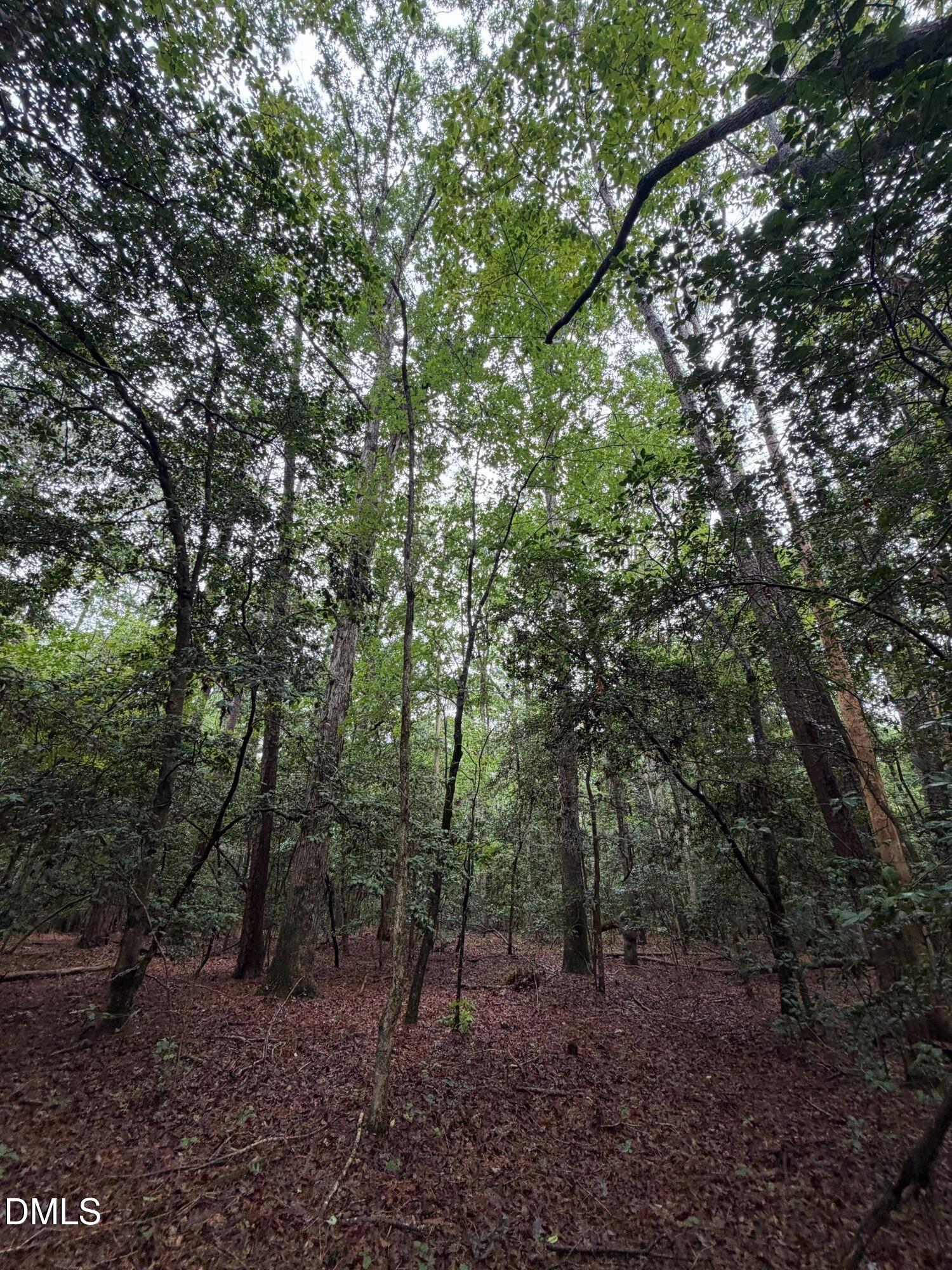 Lot 5 Claude Lewis Road Property Photo 9