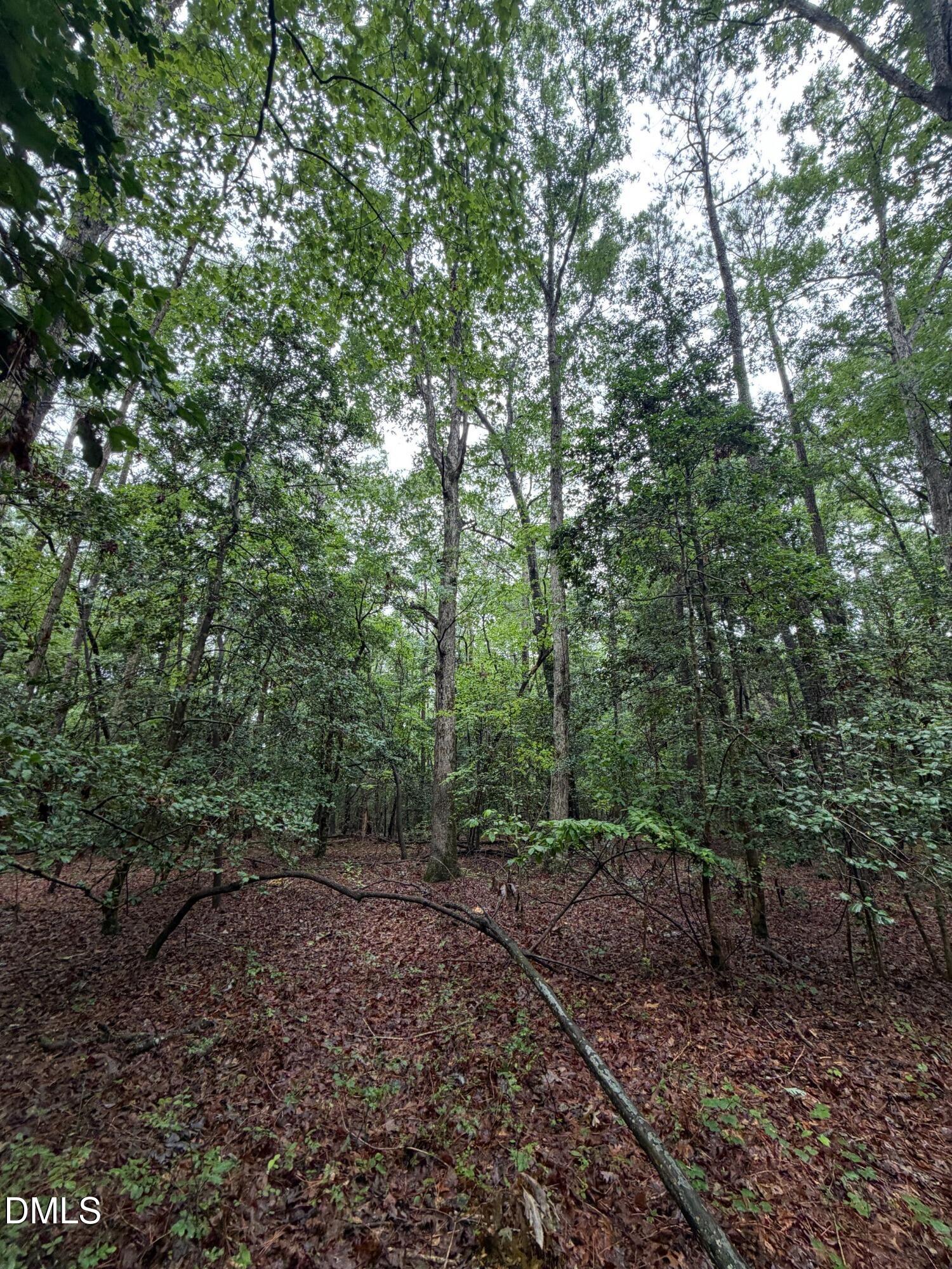 Lot 5 Claude Lewis Road Property Photo 10
