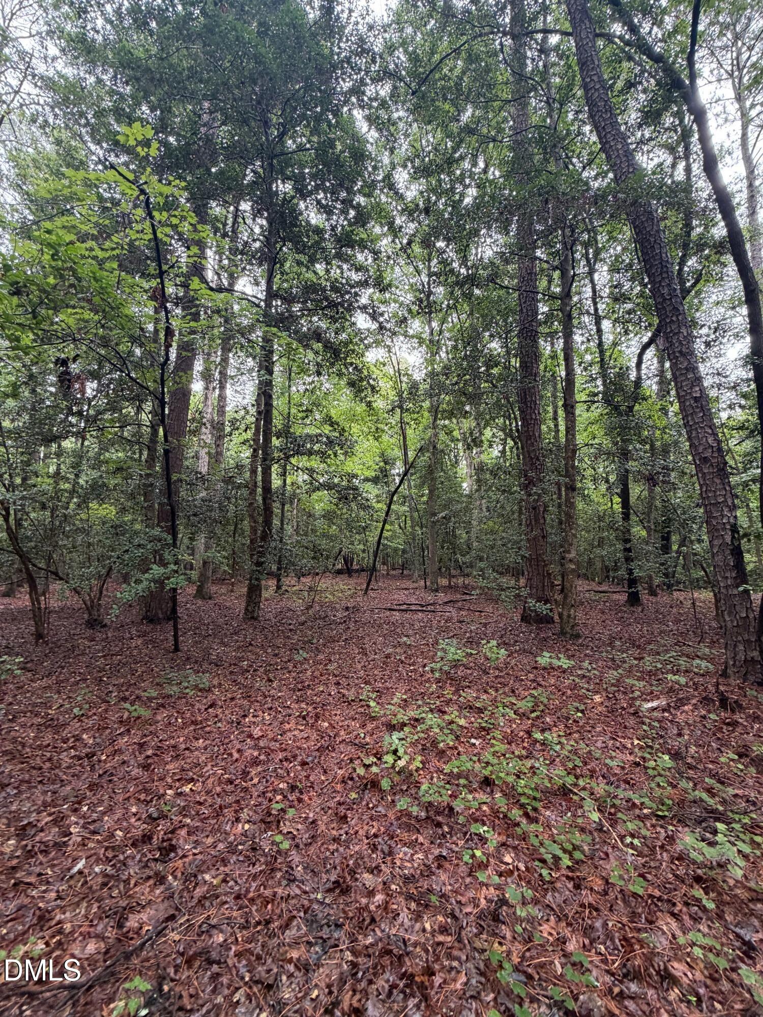 Lot 5 Claude Lewis Road Property Photo 11