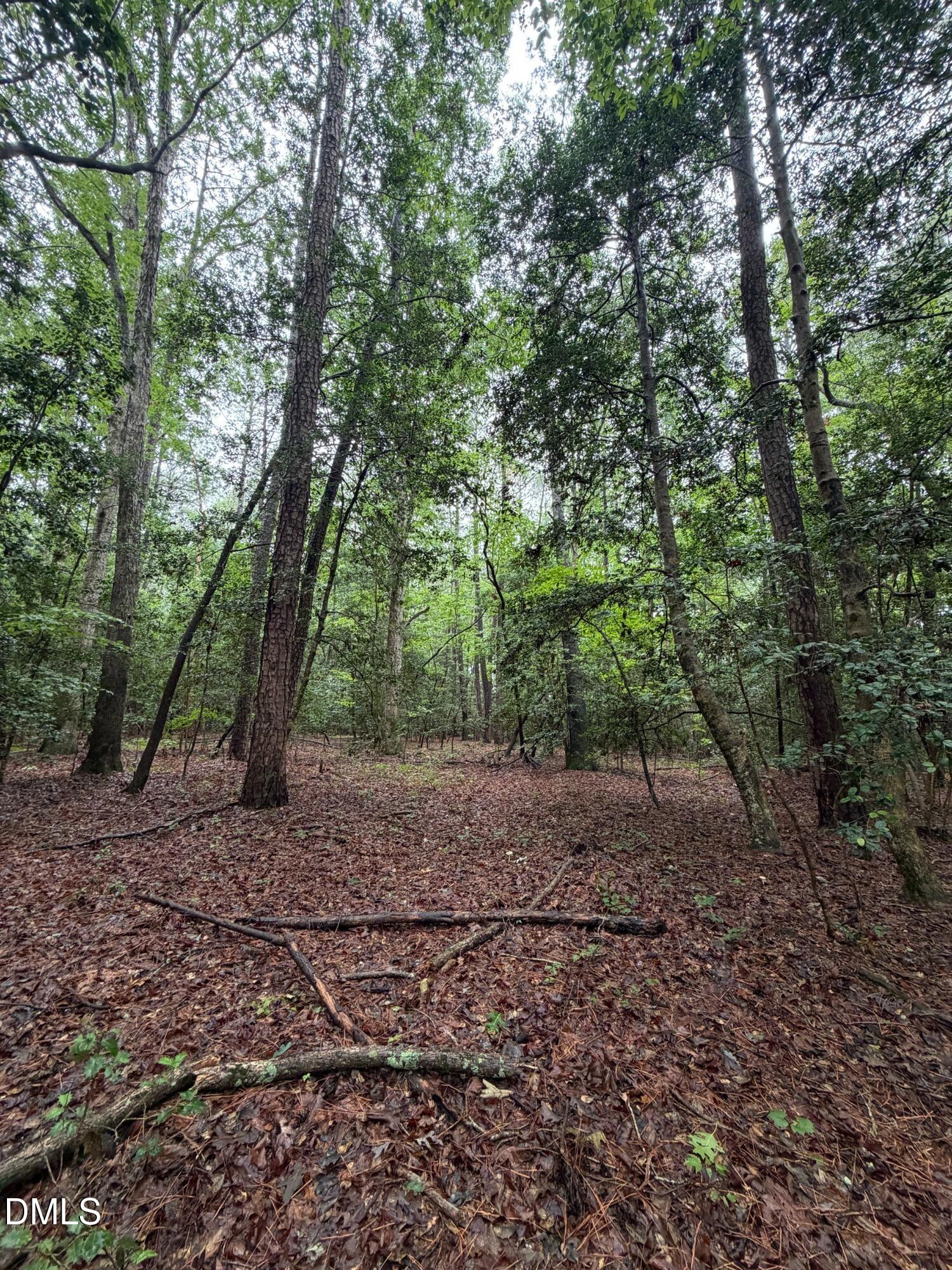 Lot 5 Claude Lewis Road Property Photo 12