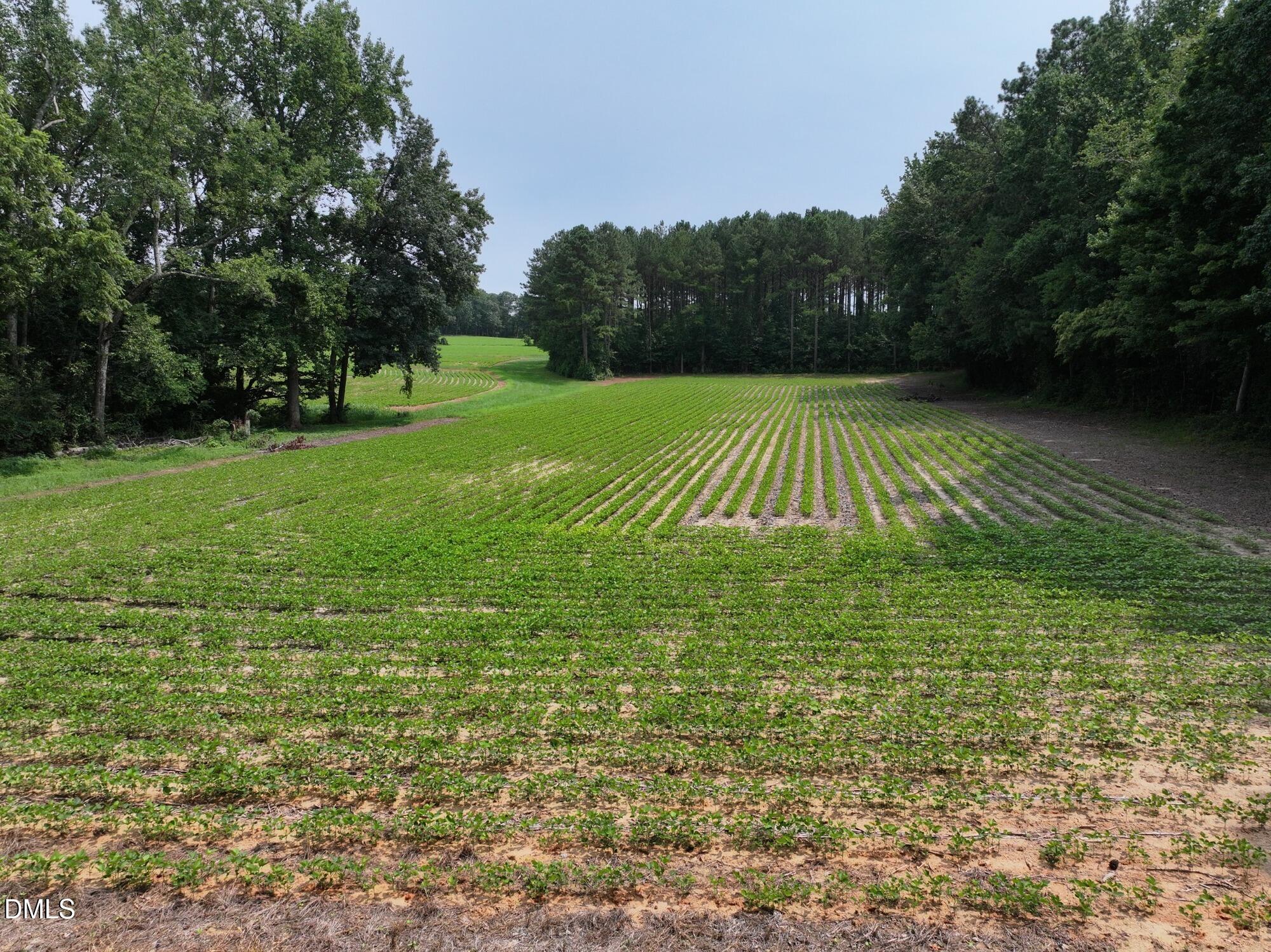 Lot 4 Claude Lewis Road Property Photo 2