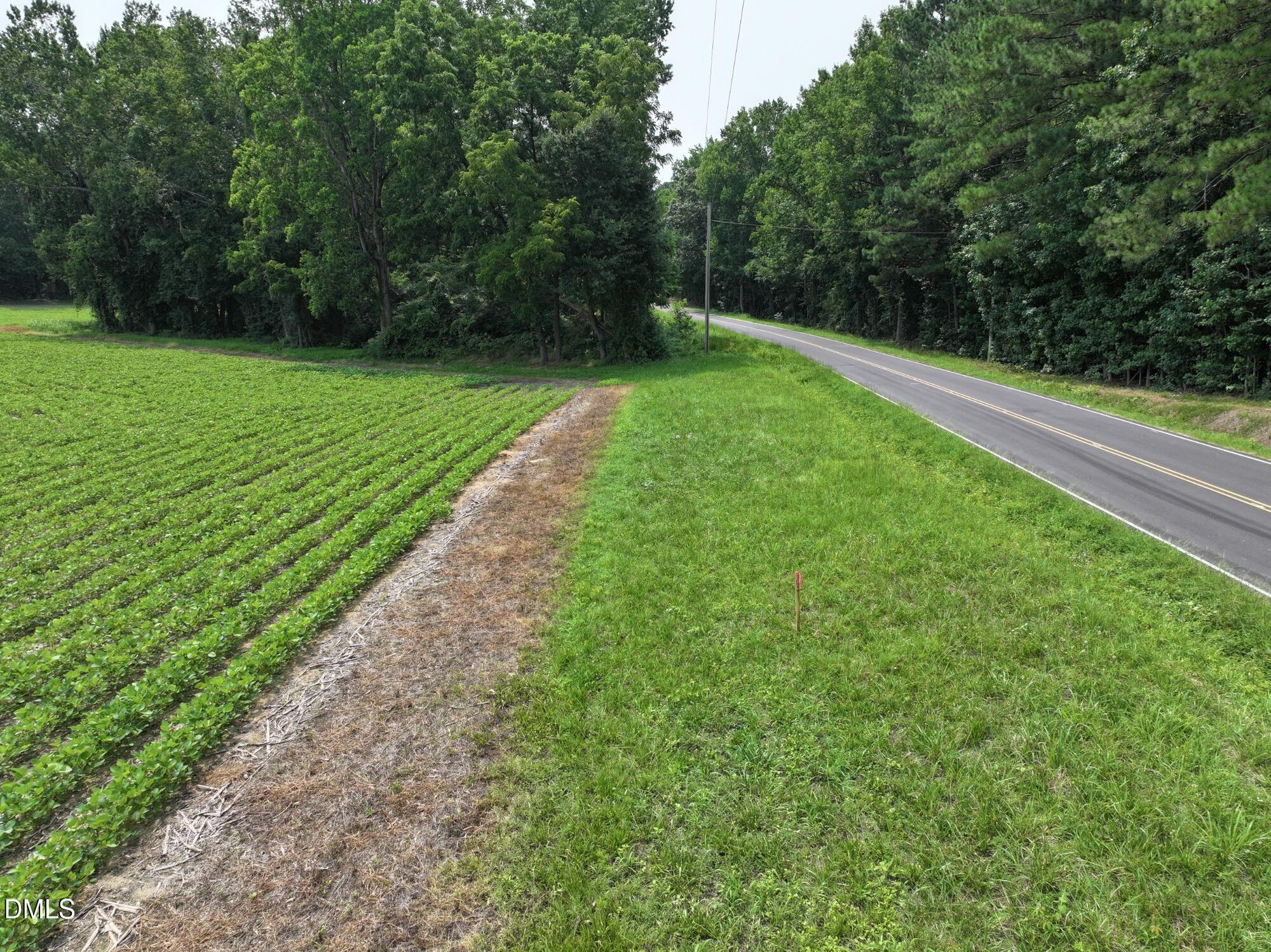 Lot 4 Claude Lewis Road Property Photo 3