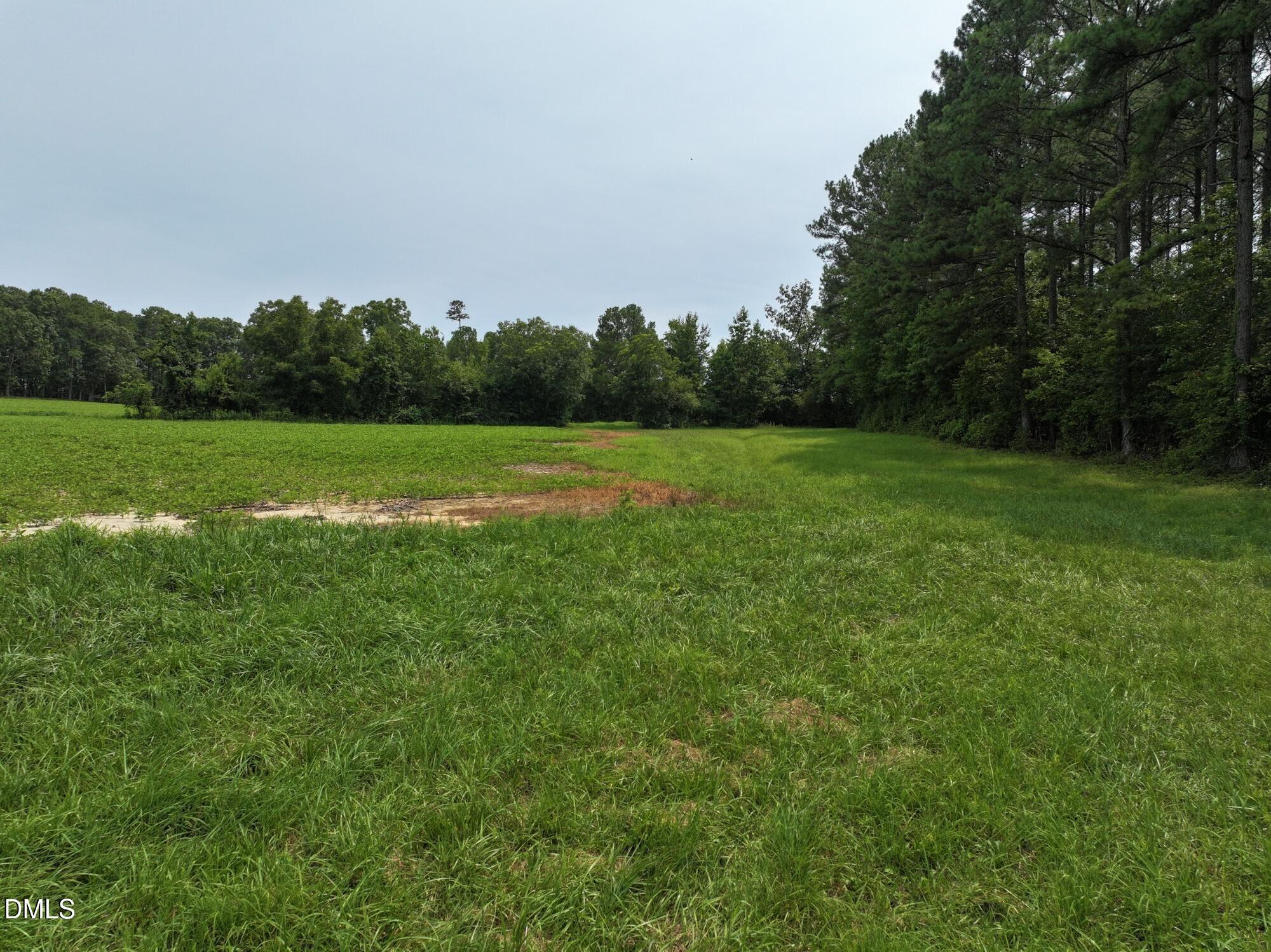 Lot 4 Claude Lewis Road Property Photo 8