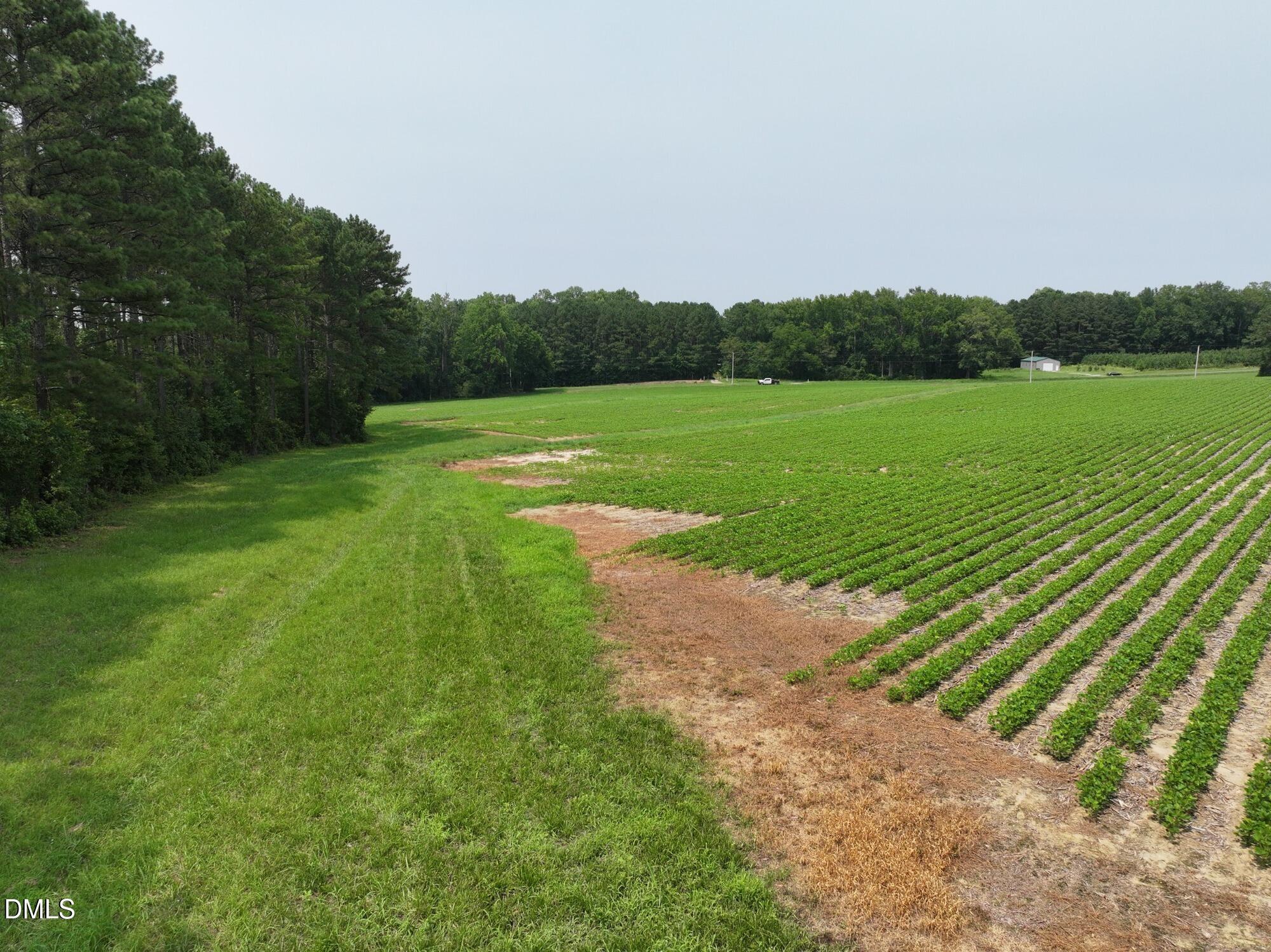 Lot 4 Claude Lewis Road Property Photo 9