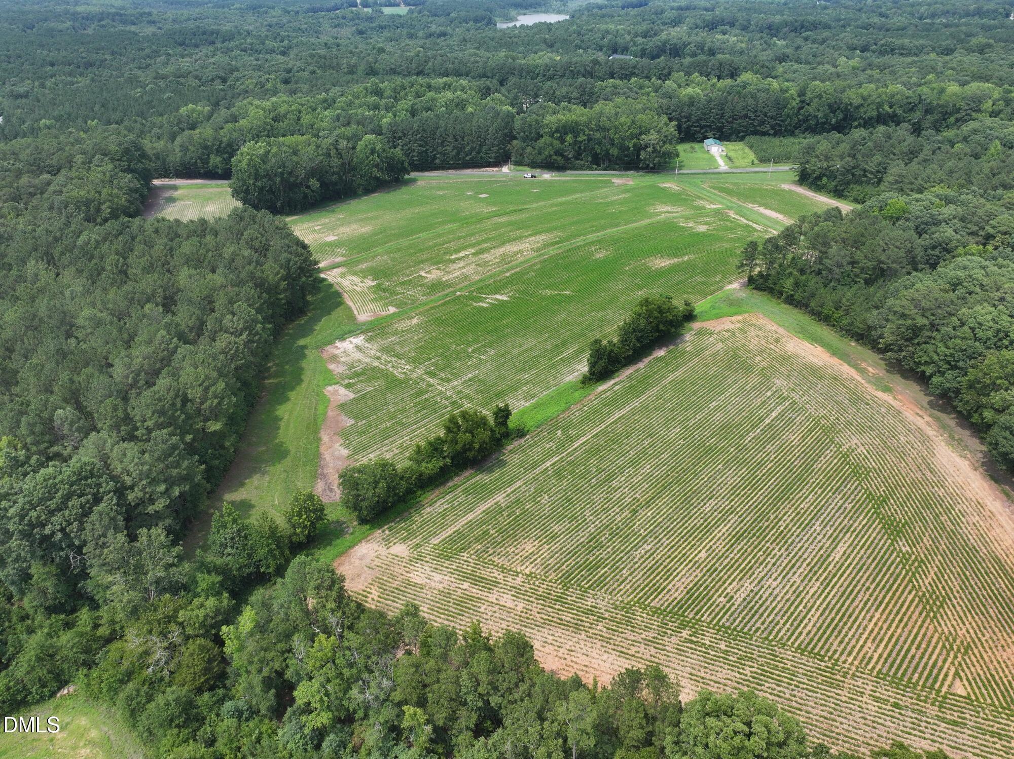 Lot 3 Claude Lewis Road Property Photo 2