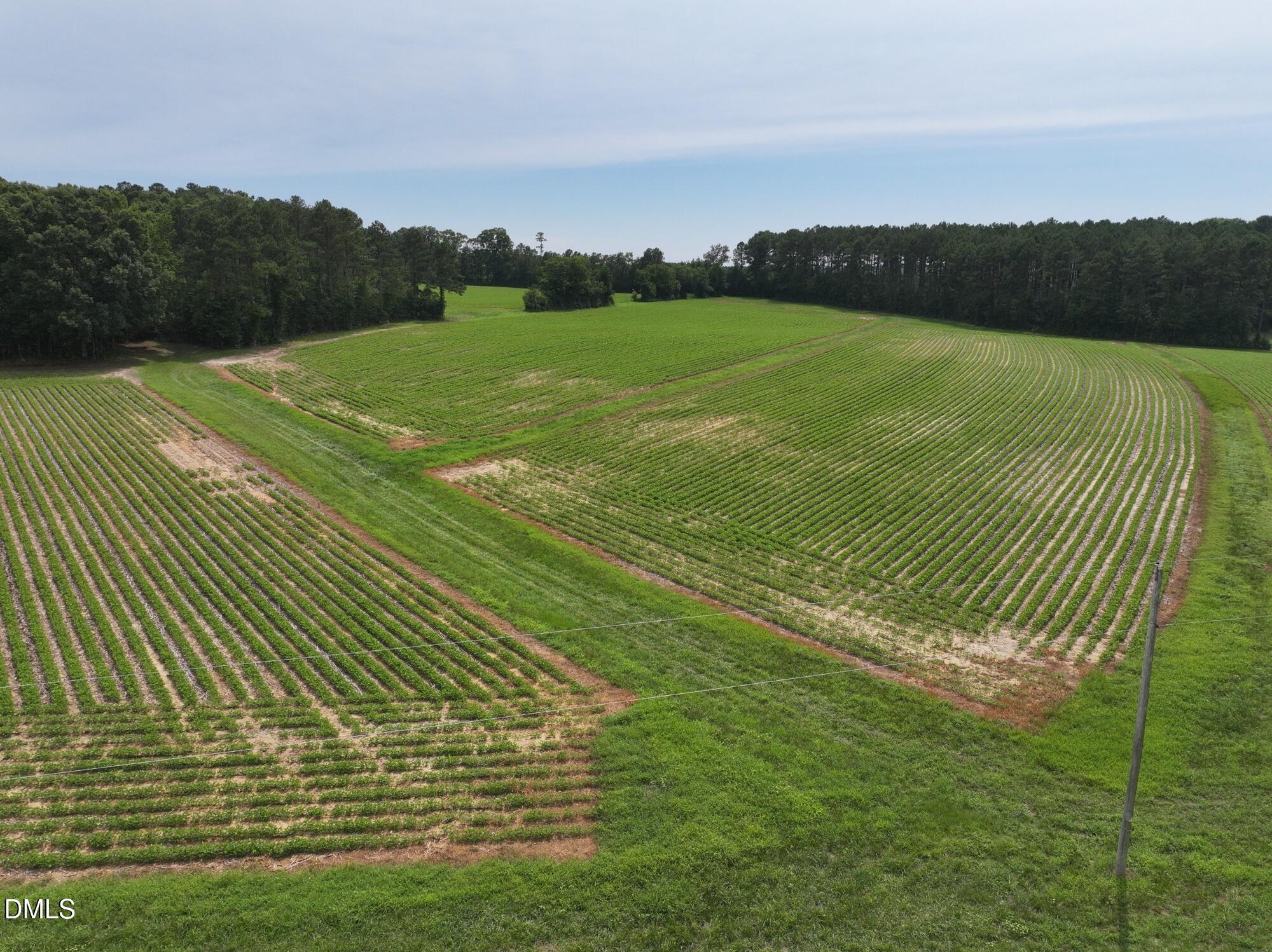 Lot 3 Claude Lewis Road Property Photo 3